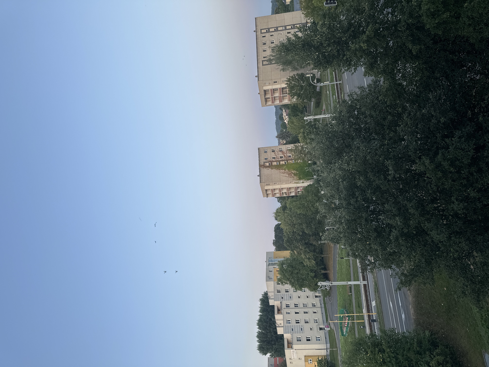 The image depicts a view of a residential area in the city of Unknown. The scene is dominated by several apartment buildings, with trees and a road in the foreground. The sky is clear with a pale blue hue, suggesting it is either early morning or late evening. Several birds are visible flying in the sky. The apartment buildings are of varying architectural styles and heights, with some featuring balconies and visible windows. The road shows traffic markings, indicating it is a functional street. The overall impression is a typical urban landscape.