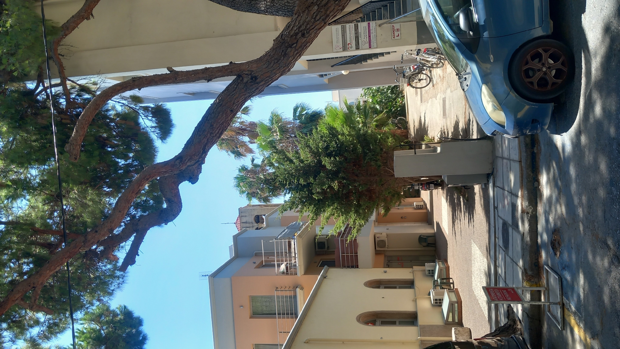 The image depicts a narrow street scene in Kos, Greece, on a bright, sunny day. In the foreground, a blue hatchback car is parked on the right, partially obscuring a paved sidewalk. A red and white "NO PARKING" sign is visible on the left side of the sidewalk. Behind the car, a pathway leads towards buildings. A large, mature pine tree with thick, gnarled branches extends across the upper portion of the frame, casting shadows.
To the left of the pathway, a light-colored, multi-story building with balconies and windows is visible. Further back, a green, dense tree and palm trees suggest a Mediterranean climate. On the right side of the pathway, a light-colored building with a staircase leading up is present. A sign with Greek text and an "L" logo is affixed to this building. Two bicycles are parked near the base of the stairs, and a scooter is parked further down the pathway. The overall impression is of a residential or commercial area in a warm climate.