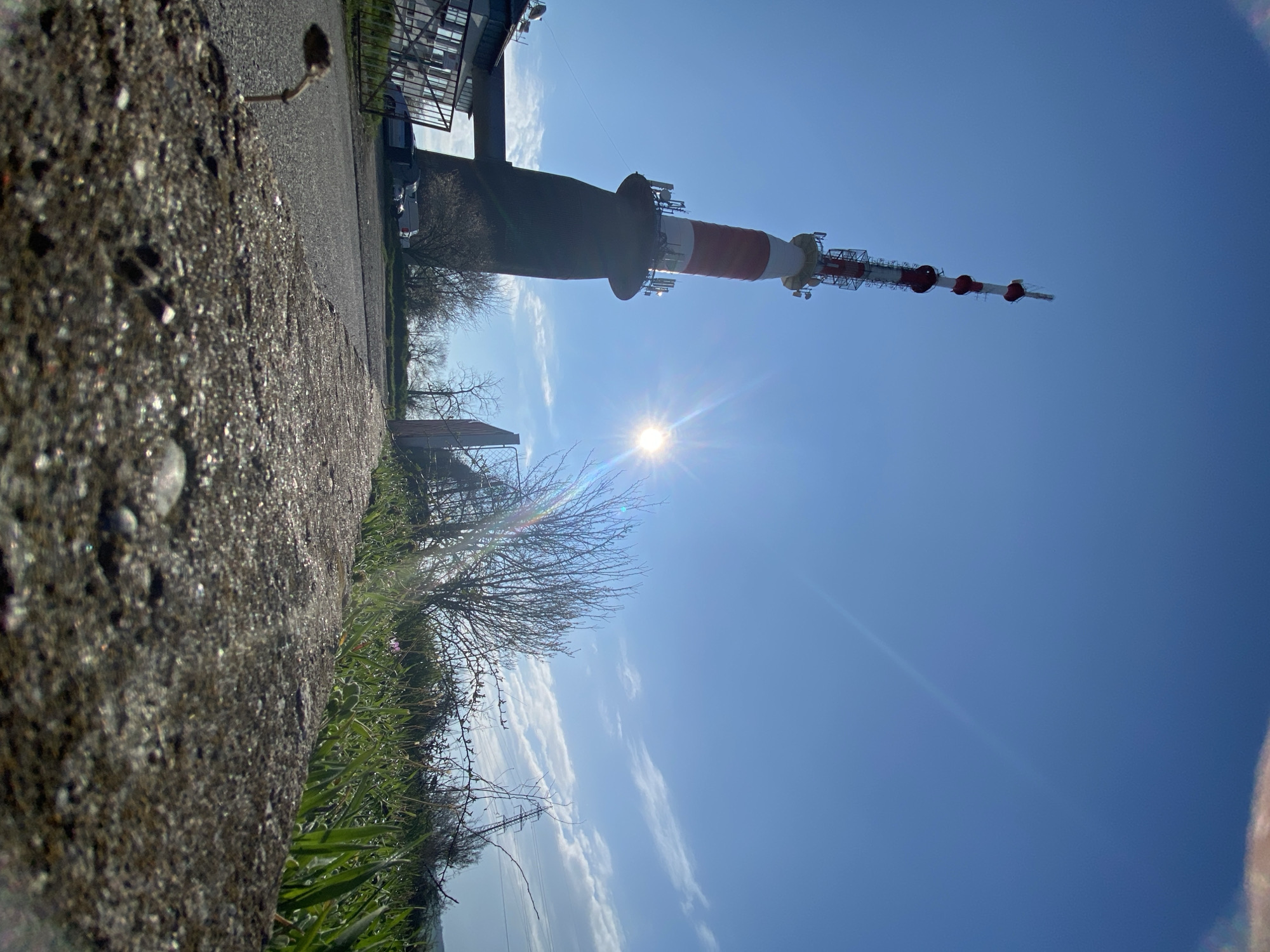 The image depicts a low-angle view of a radio tower in Pleven, Bulgaria, with a bright sun shining behind it. The tower is red and white and appears to be used for telecommunications. In the foreground, there is a textured concrete wall with some grass and vegetation growing at its base. Bare tree branches are visible in the middle ground, contrasting with the clear blue sky streaked with thin clouds. The camera angle creates a slightly distorted perspective, emphasizing the height of the tower and the vastness of the sky.