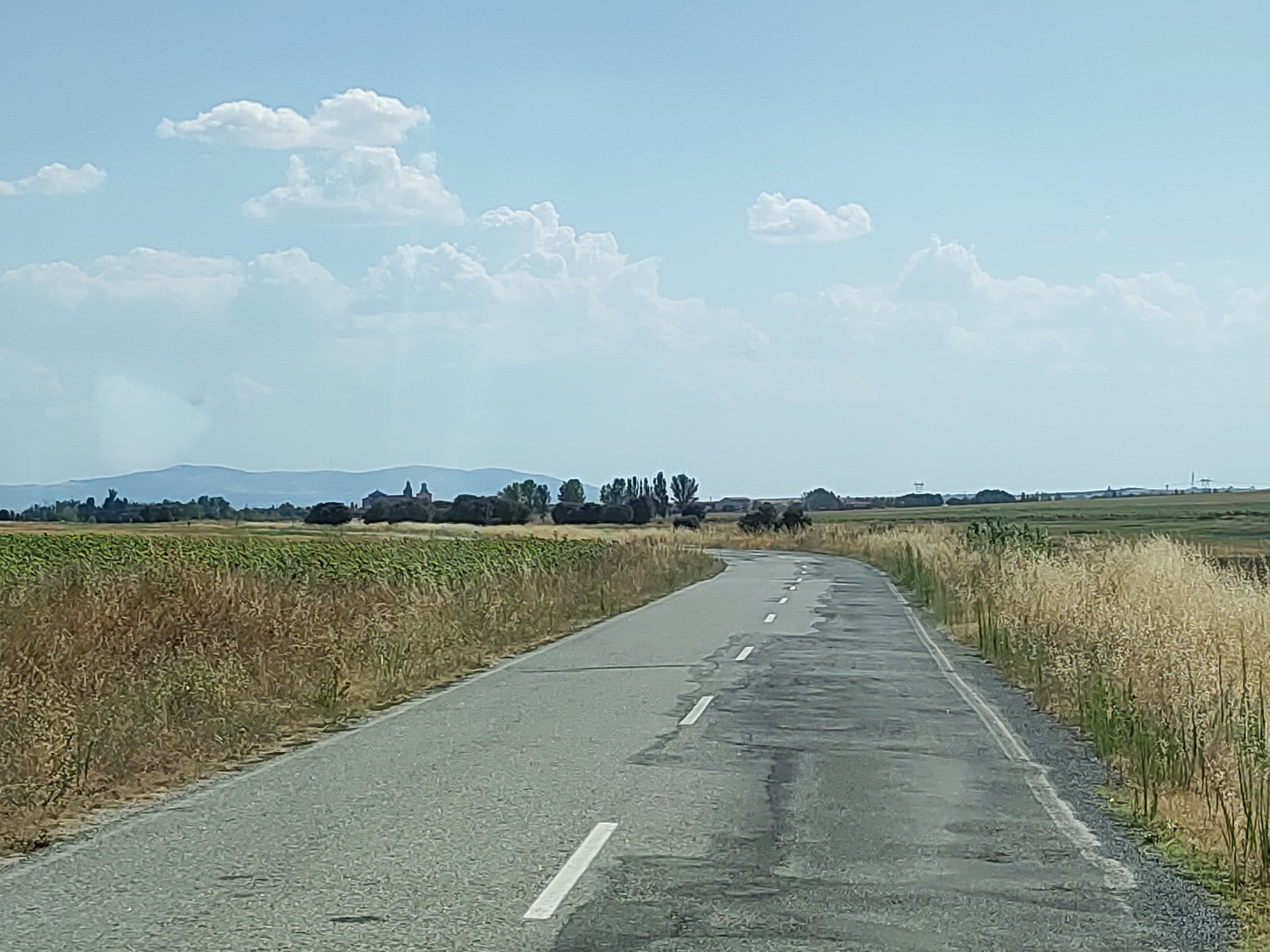 The image depicts a rural scene on a sunny day, likely in or near Sangarcía, Spain. A grey asphalt road curves gently through a landscape of agricultural fields. On the left side of the road, a field of green crops, possibly sunflowers due to the time of year and regional agriculture, is bordered by dry, golden grasses and weeds. On the right side of the road, tall, dry grasses line the shoulder. In the distance, a line of trees forms a backdrop to the fields, with a low mountain range visible on the horizon. The sky is a clear blue, dotted with scattered white cumulus clouds. There are no people or vehicles visible in the image. The road itself shows signs of wear, with some darker patches and cracks, and is marked by white dashed lines. The overall impression is one of a tranquil, open countryside.