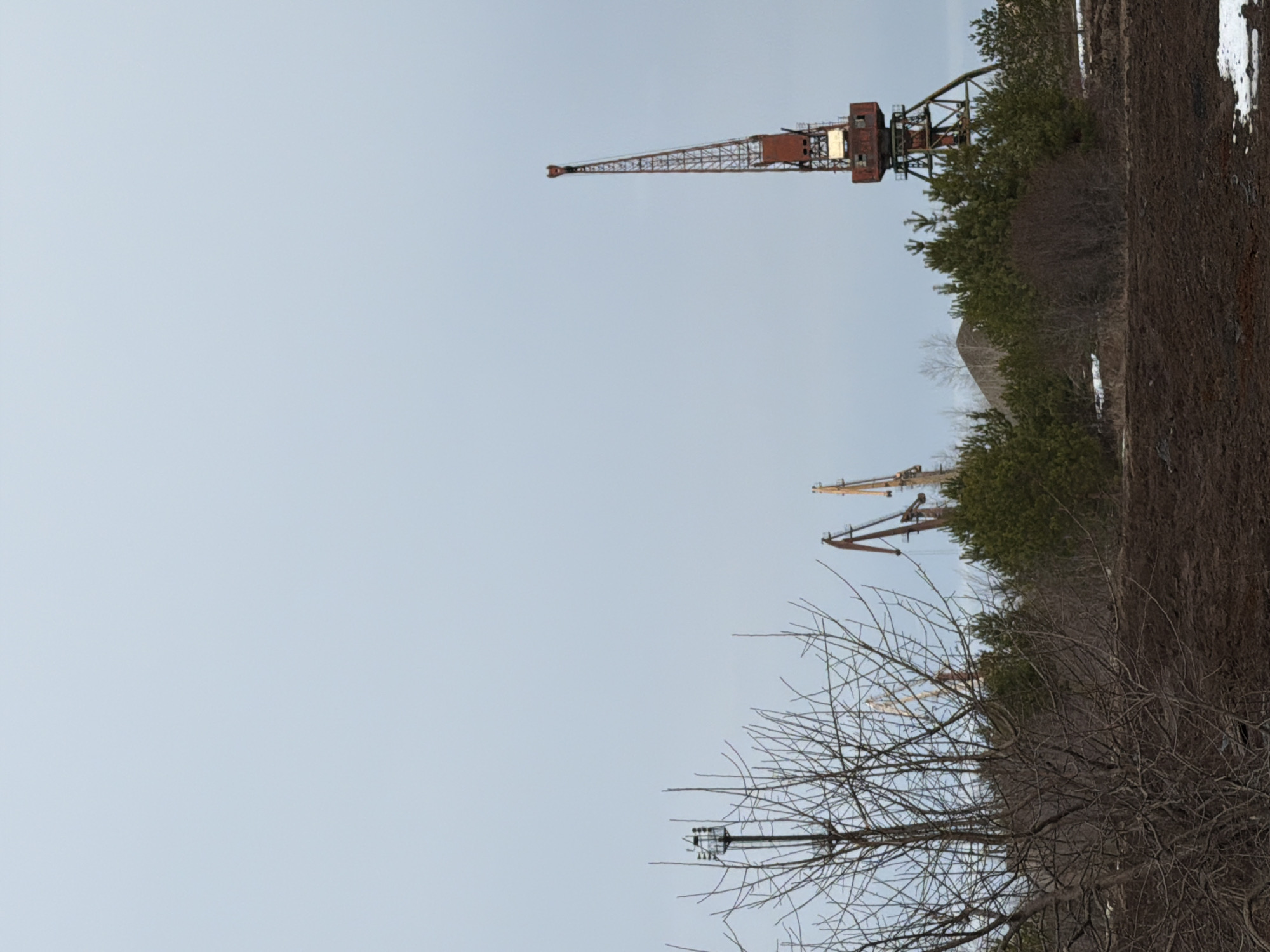 The image shows a view of several cranes in Noviy, Russia. The foreground contains leafless branches of a tree. A tall, orange crane is visible towards the upper right, with a cabin at its base. Another crane is located below and to the left of the first. Dark ground and green trees are positioned to the right of the cranes. A utility pole is visible through the branches. The background is a gray sky.