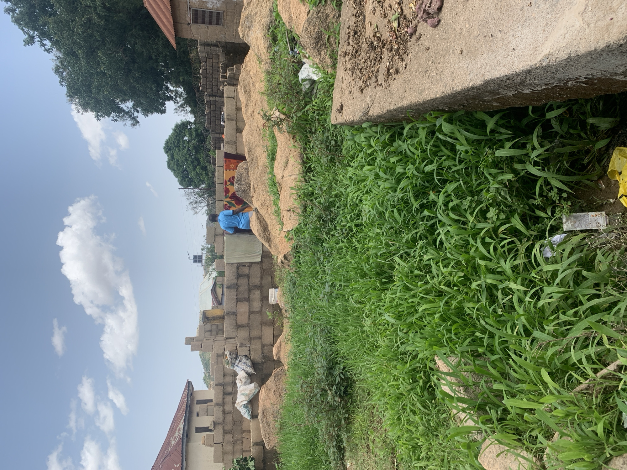 In a scene that appears to be a construction site or a residential area undergoing development in Jos, Nigeria, a person wearing a blue t-shirt is standing near a wall constructed of grey cinder blocks. Behind the individual, a colorful patterned blanket or rug is draped over the blocks, and to the left of the person, several white sacks are piled against the wall. The ground is uneven, with large, tan-colored rocks scattered throughout. Lush green grass and vegetation are growing abundantly in the foreground, with some smaller bushes interspersed among the rocks. In the background, partially constructed buildings with corrugated metal roofs are visible, along with trees and a water tank on a pole. The sky is partly cloudy with white clouds against a light blue backdrop. The overall impression is one of an outdoor, somewhat unfinished environment in an African urban or peri-urban setting.