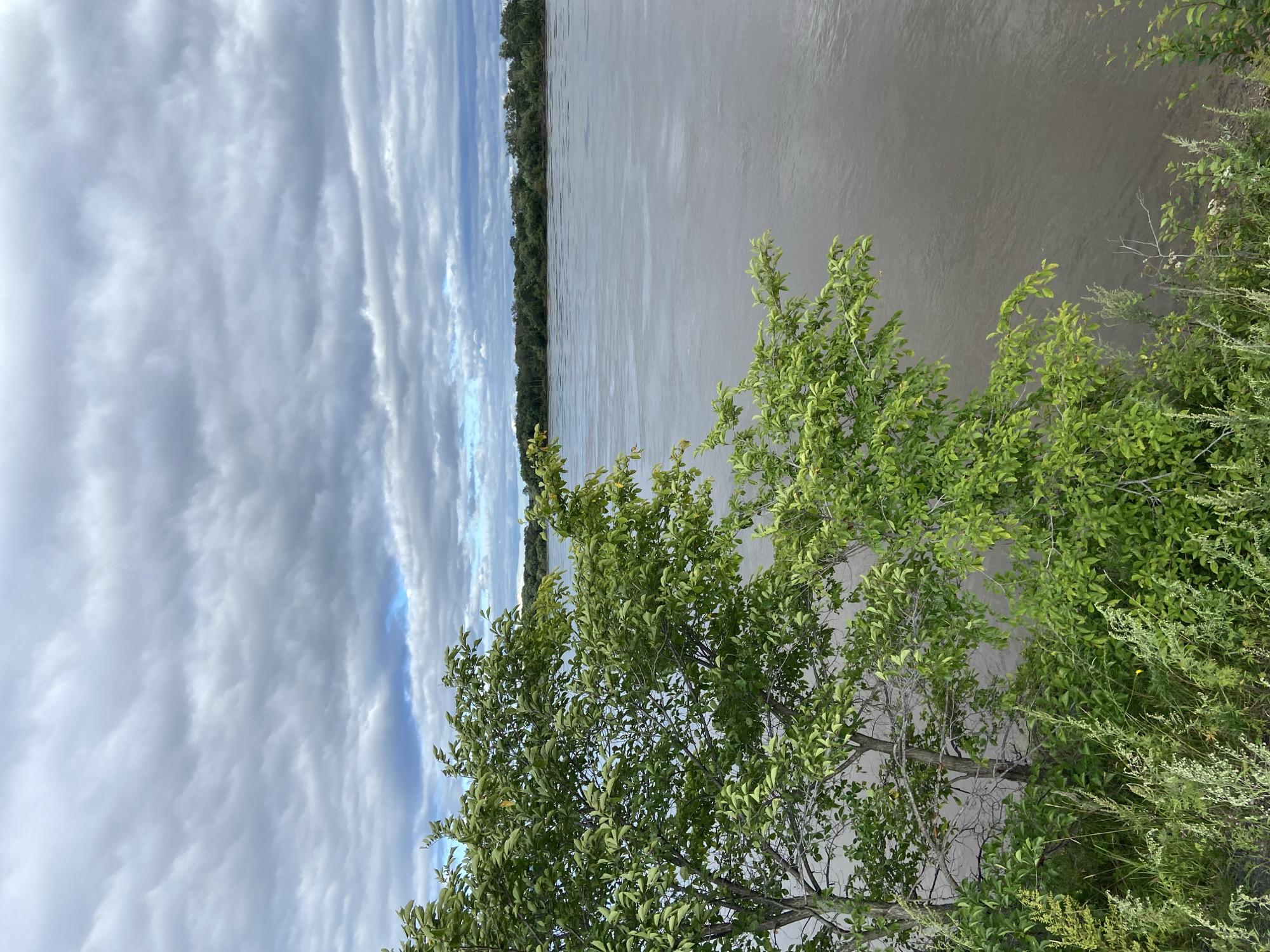The image depicts a wide, murky river flowing under a cloudy sky. In the foreground, lush green foliage and trees overhang the water's edge. The opposite bank is lined with a dense strip of trees, suggesting a natural, undeveloped shoreline. The sky is filled with a mix of dark and light gray clouds, with occasional hints of blue peeking through. The overall impression is one of a natural landscape, likely a riverbank, with overcast weather. The city of Черняево, Russia, is not visible or indicated in the image.