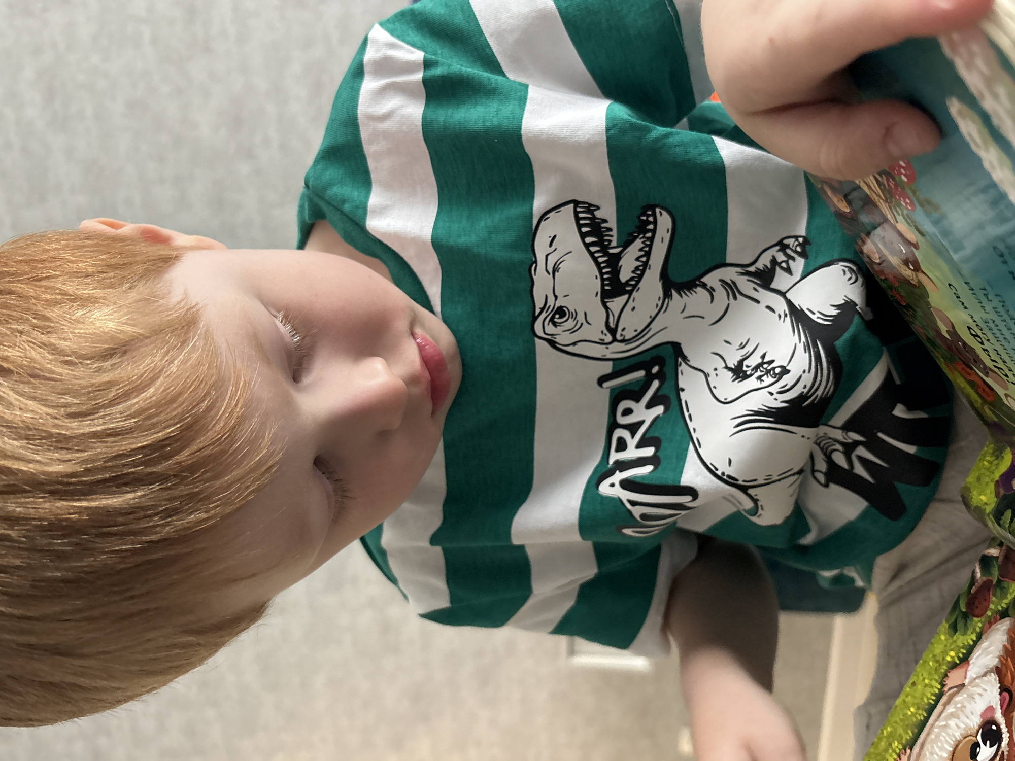A young child with red hair is looking at a book. The child is wearing a green and white striped shirt with a dinosaur on it. The location is not discernible.