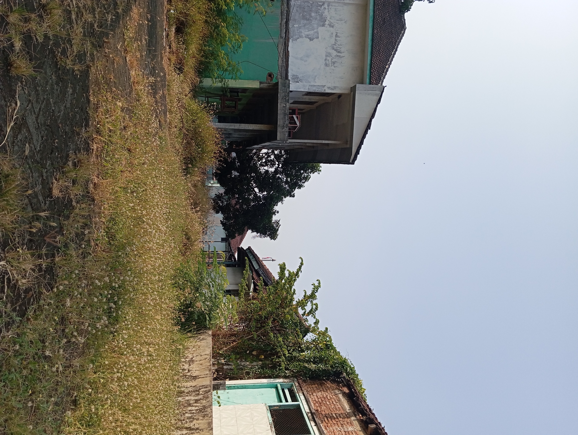An outdoor medium shot captures a view of two abandoned buildings in Pandaan, Indonesia, under a clear sky. The building on the left is a two-story structure with a weathered, off-white facade on the upper level and a faded green lower level. It features a concrete balcony supported by pillars and a tiled roof. The building on the right is constructed with exposed brick and features a teal-colored door and a white-tiled section. Vines creep up the brick wall. The foreground is covered in dry grass and weeds, with a dark paved area visible. The overall scene suggests neglect and abandonment.