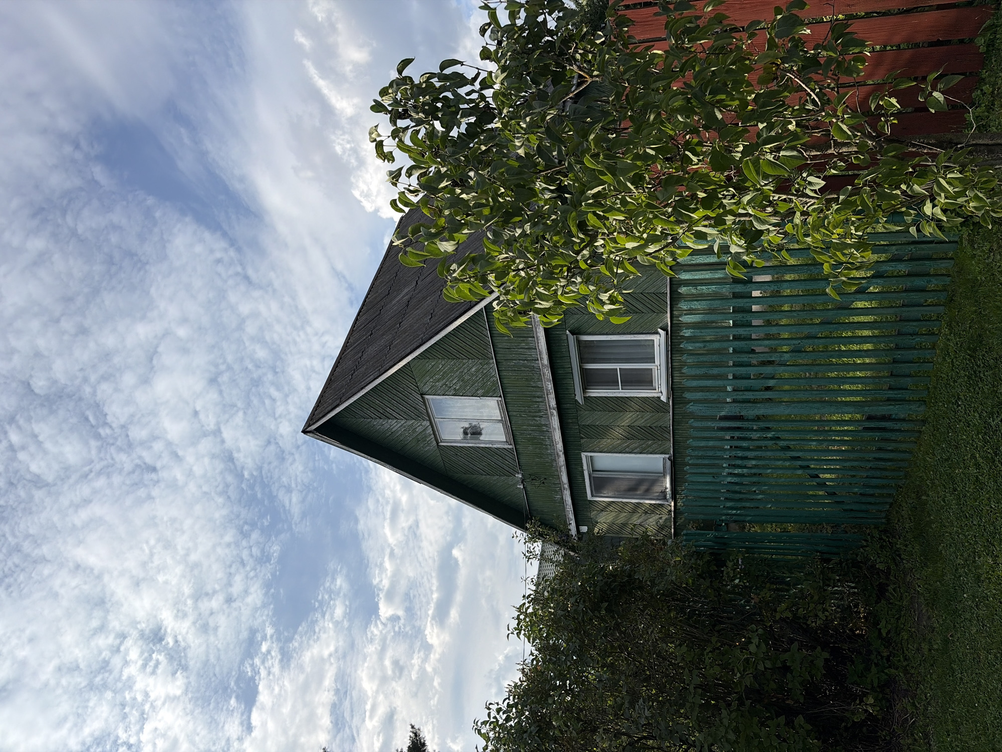 A green, wooden house with a dark roof is partially visible behind dense green foliage and a green picket fence. The house has two stories, with windows on each level. A young tree with abundant green leaves stands in the foreground, obscuring part of the house and fence. The sky above is filled with a mix of white and grey clouds. The setting appears to be a rural or suburban area in Электротехник Снт, Russia.