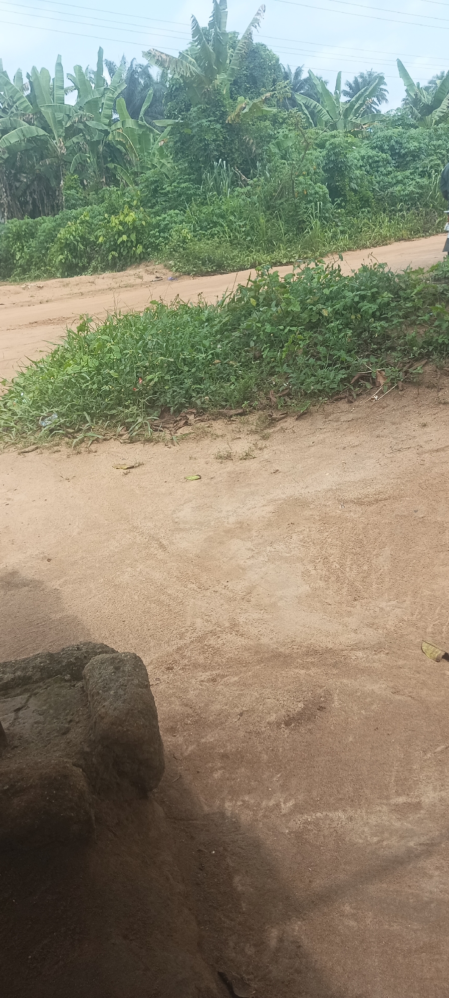 The image depicts a sandy roadside in Amauzu, Nigeria. The foreground features a section of a dirt road with loose sand and partial view of a large, dark, likely concrete object situated to the left. The middle ground shows a transition to a grassy verge, with various weeds and small plants growing along the roadside edge. In the background, dense vegetation and trees are visible, including what appear to be banana trees, suggesting a tropical environment. Overhead, power lines stretch across the sky. A person can be seen in the far right.
