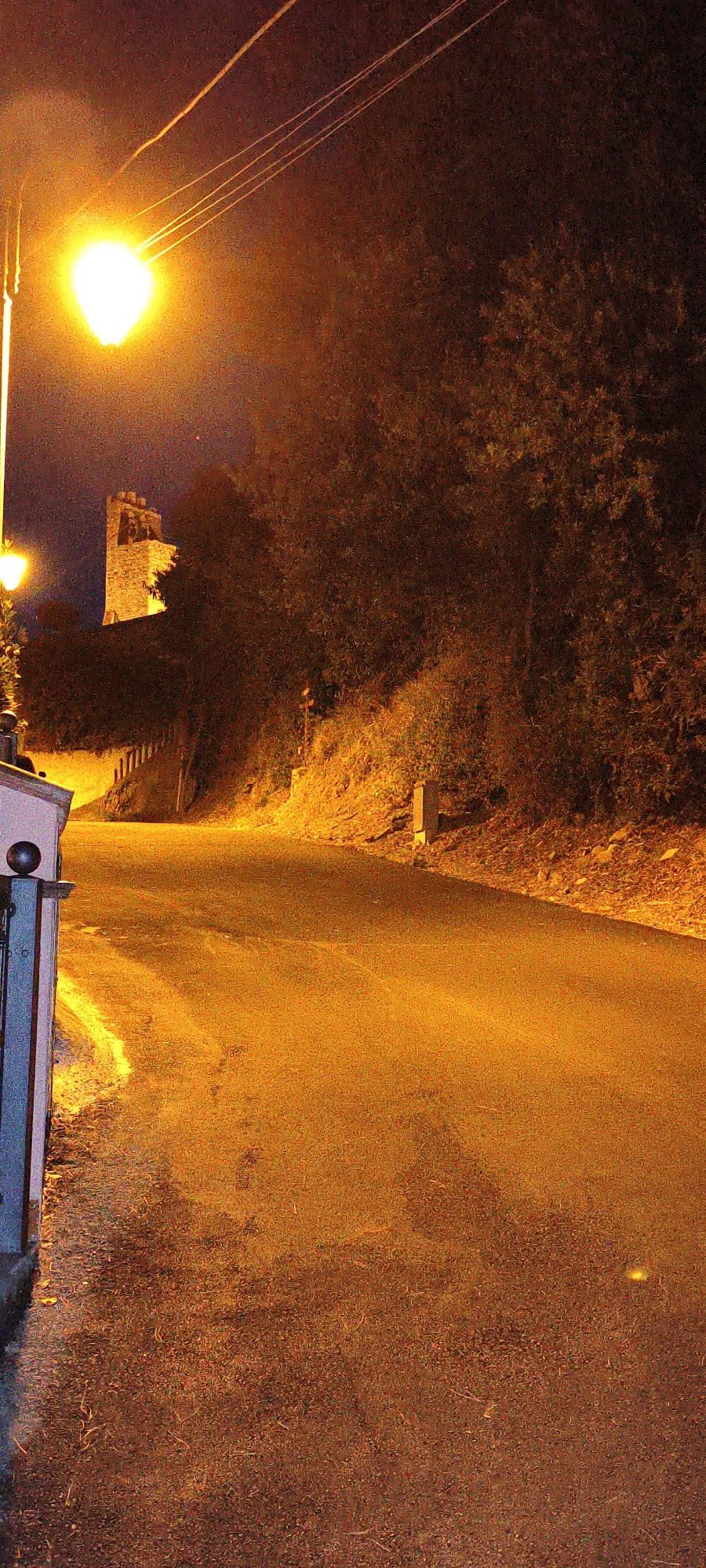 A street scene at night in Campagnatico, Italy, is illuminated by a bright streetlamp and the warm glow of artificial lighting. The road, paved with asphalt, curves gently to the right, reflecting the light. On the left side of the road, a lamppost stands tall, casting a harsh yellow light. Adjacent to it, a portion of a building with a dark roof and a railing with a spherical finial is visible. Further along the road, a stone tower, possibly a remnant of a historical structure, rises above the trees. The surrounding environment is dense with foliage, appearing as dark masses against the night sky. The ground along the side of the road is covered in vegetation and fallen leaves. Several low concrete posts or markers are situated along the edge of the road and embankment. The overall impression is of a quiet, possibly rural road bathed in artificial light.