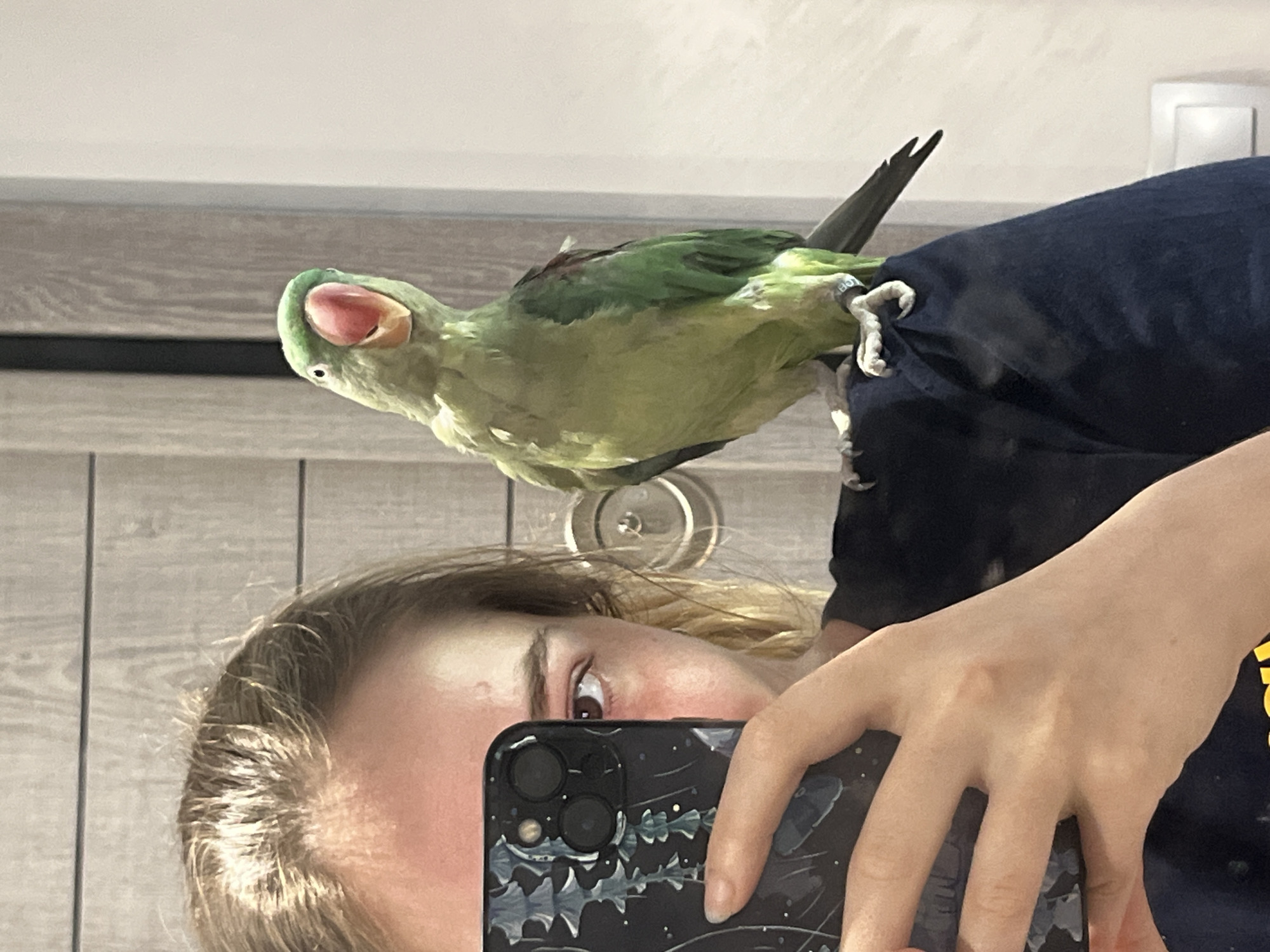 A medium shot shows a young woman holding a smartphone in her left hand, taking a selfie. She is partially visible, with her face turned towards the phone and her right eye visible. She has blonde hair and is wearing a dark t-shirt. Perched on her right shoulder is a green parrot with a red beak and white eyes. The parrot is looking towards the camera. The background consists of a wooden door with vertical planks and a white wall. The scene appears to be indoors, in a domestic setting. The image is well-lit, with soft light illuminating the subjects. There is a light switch visible on the white wall.