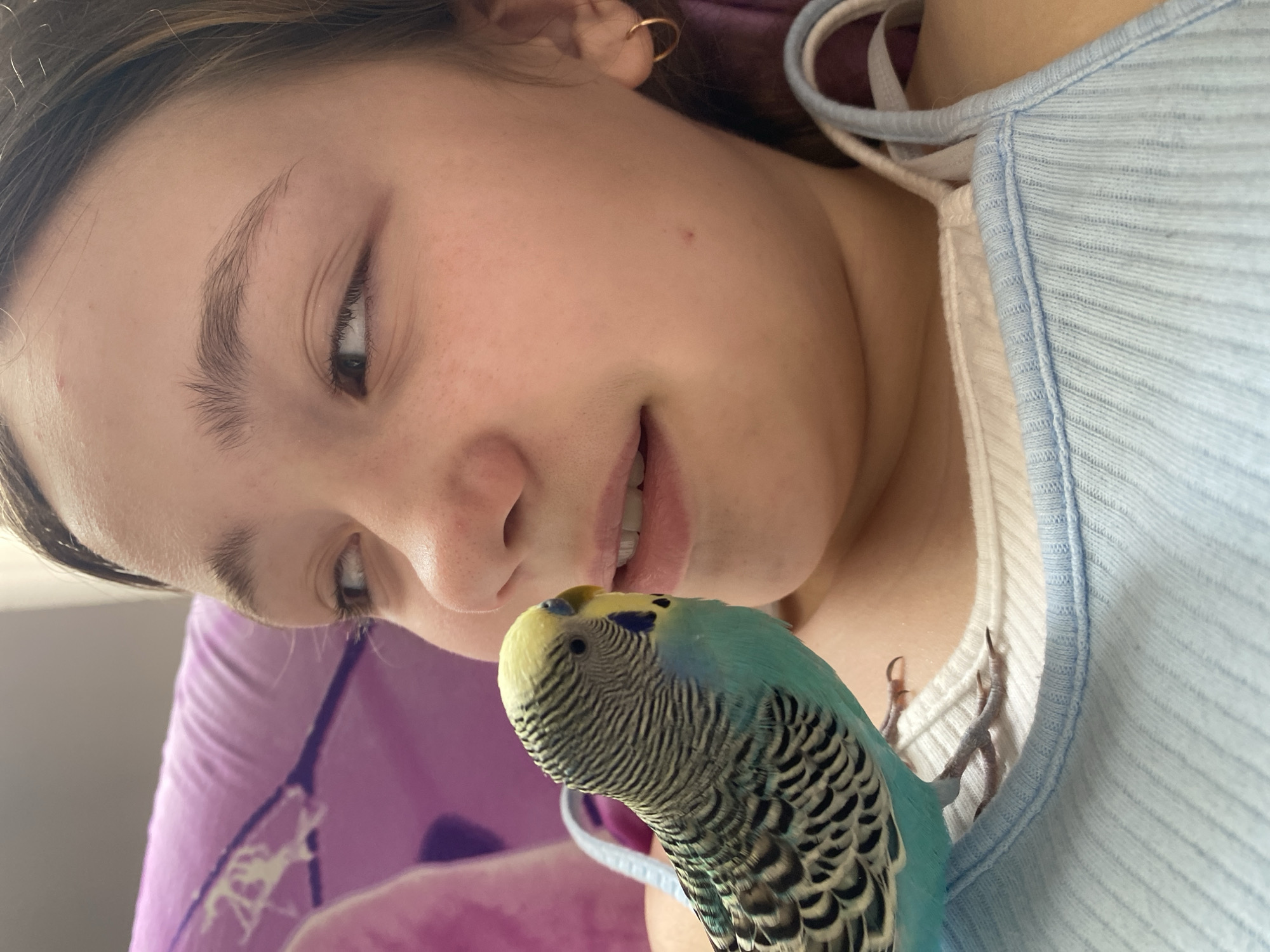 A young fair-skinned person is shown in close-up with a budgerigar perched on their chest. The person is wearing a light blue ribbed tank top with white straps. The budgie is predominantly blue and black with a yellow head. The person looks down at the bird, their face close to it. The background is a mix of light purple and indistinct shapes. The location is Unknown, Unknown.