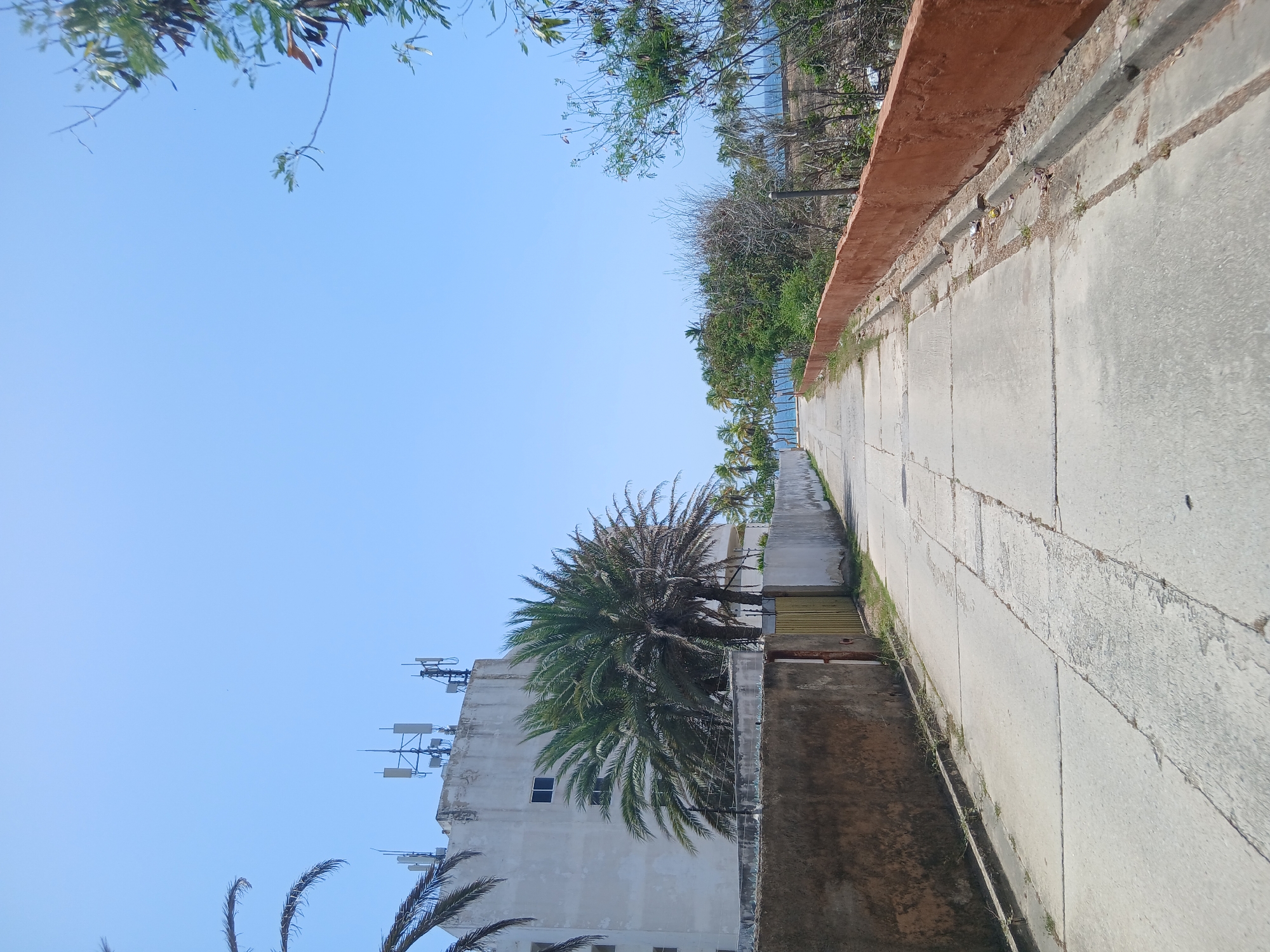 The image depicts an upward-angled view in Playa El Agua, Venezuela, showing the intersection of a concrete sidewalk or road and a building. The sky is clear and light blue. Vegetation, including a large palm tree, is present on the building's side and nearby. The building is light-colored, with visible communication antennas on the roof. The sidewalk runs along the building and is bordered by a low concrete wall with an orange-brown painted top. The scene appears to be urban, potentially near the coast. There are no people visible in the frame.