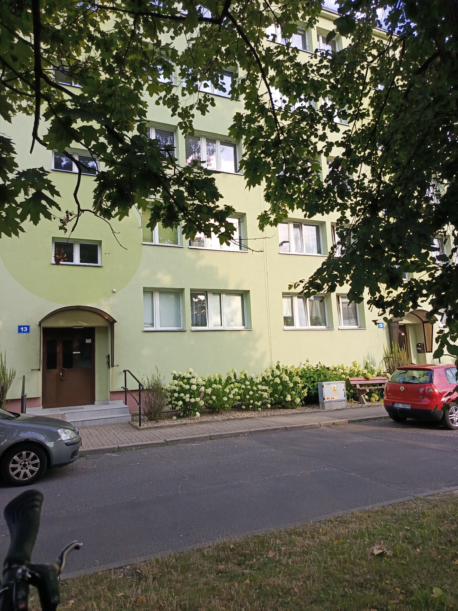 In the city of Bolesławiec, Poland, the image captures a front view of a pale green multi-story apartment building. Lush green tree branches with large leaves partially obscure the facade and the sky. The building features numerous windows with white frames, some reflecting the sky and trees. At the ground level, a dark brown double door entrance is sheltered by a curved, transparent awning. A blue rectangular sign with the number "13" is mounted to the left of the entrance. Steps lead up to the door, and to the right of the entrance, a band of white hydrangeas blooms below the windows, interspersed with green bushes. A black metal railing runs alongside the steps and the walkway.
On the asphalt street in front of the building, a dark grey Volkswagen car is parked on the right, facing away from the camera, with its license plate visible as "DBL 10670". A red Volkswagen car is parked to the right of the grey one. A low grey electrical cabinet with yellow markings is situated on the paved area near the hydrangeas. A wooden bench is visible behind the hydrangeas. In the foreground, a portion of a bicycle, including handlebars and a brake lever, is visible, suggesting the photo was taken from a bicycle. The ground next to the street is covered with dry grass. The overall lighting suggests it is late afternoon or early evening.