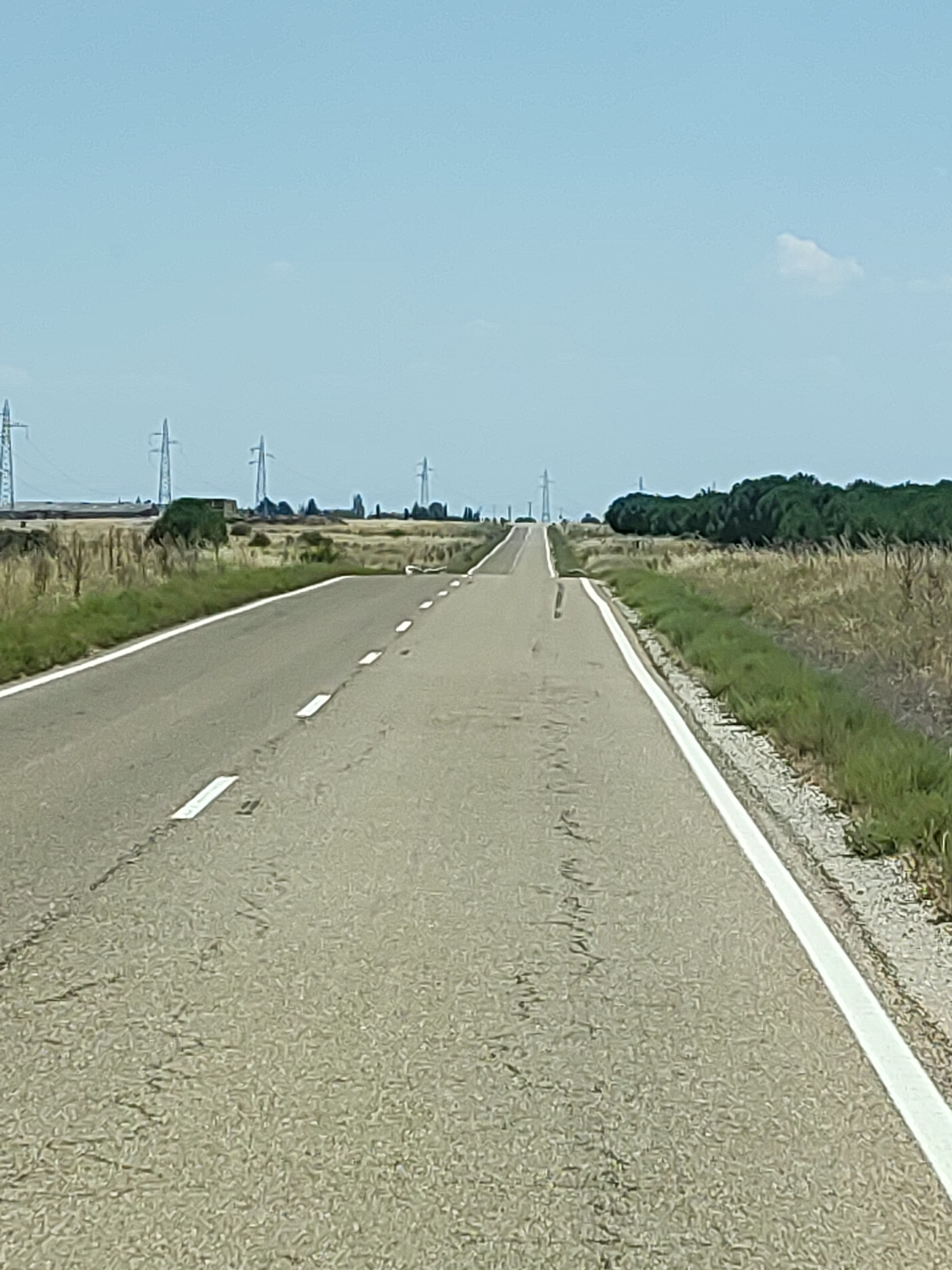 The image shows a two-lane asphalt road stretching into the distance under a clear blue sky. The road is bordered by dry, grassy fields on either side, with some scattered trees and power lines visible in the background. The scene appears to be a rural area in Cogeces del Monte, Spain, based on its characteristic landscape of open fields, agricultural land, and power infrastructure common to the region. There are no people or vehicles visible in the image, suggesting a quiet and deserted stretch of road. The road itself shows signs of wear and tear, with some cracks and uneven patches visible on its surface. The white lines marking the lanes are faded in some areas.