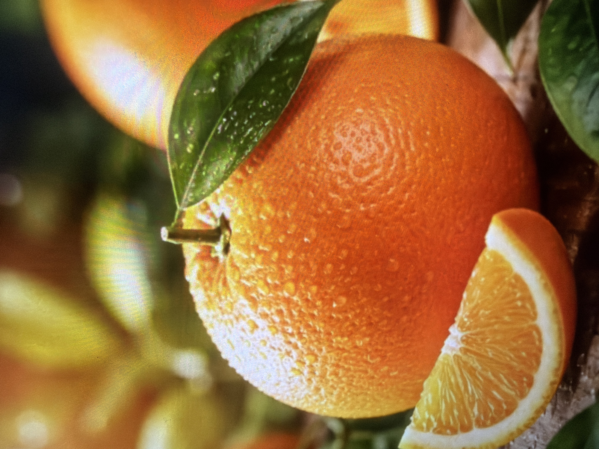 A close-up shot focuses on a whole, dewy orange with a green leaf resting on its upper side. To the left, a slice of orange is visible, and further in the background, another orange is out of focus. The setting appears to be outdoors, possibly in a garden or orchard, with soft, blurred greenery and sunlight creating a warm, inviting atmosphere. There are no people or specific city landmarks present in the image.