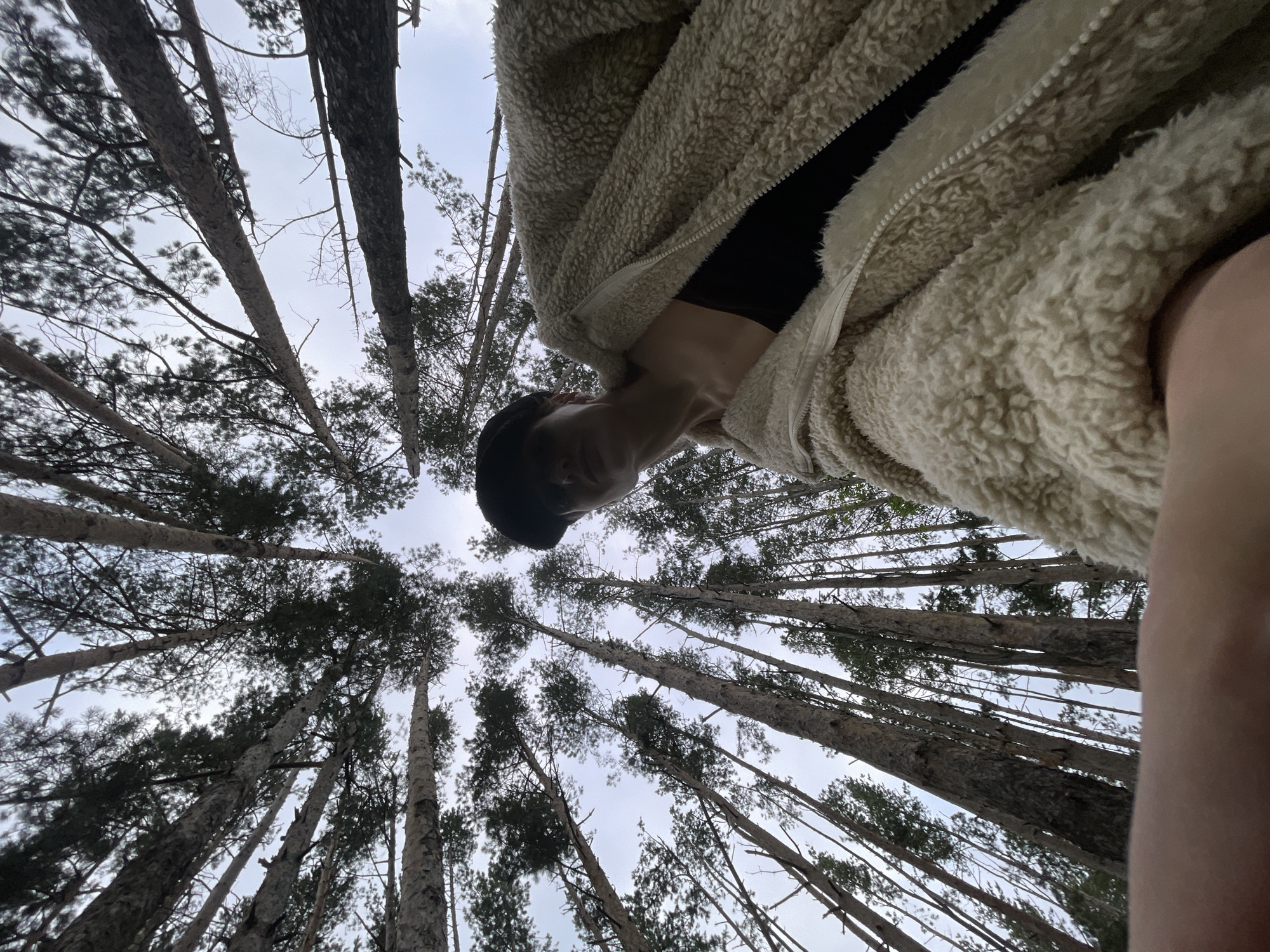 The image shows a low-angle shot of a person looking up through a forest canopy in Подшивалово, Russia. Tall, slender trees with sparse needles dominate the frame, their trunks reaching towards an overcast sky. The person, wearing a light-colored, fuzzy jacket and a dark cap, is positioned in the lower right of the image, their face partially obscured and looking upwards. Their arm and shoulder are also visible in the foreground. The overall impression is one of being immersed in a dense, pine forest with a clear, cool atmosphere.