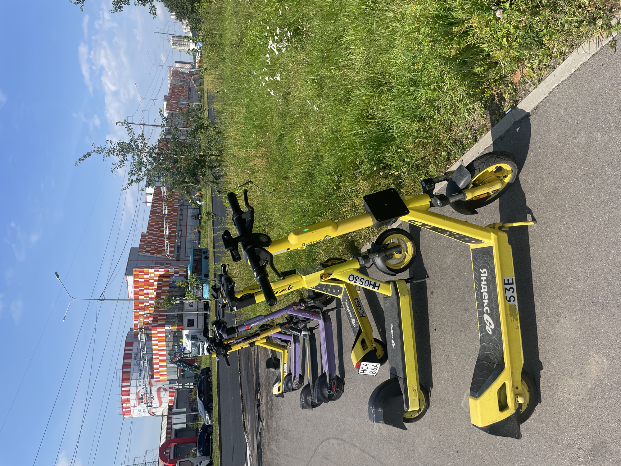 The image depicts a row of parked electric scooters lined up on a paved surface next to a grassy area. The scooters are predominantly yellow, with one purple scooter interspersed among them. Some of the scooters have visible license plates with alphanumeric characters. In the background, there is a large, modern building with a distinctive facade of red, yellow, and white rectangular patterns. Several cars and a truck are visible on a road in front of the building. The sky is clear and blue with some scattered clouds. The environment appears to be an urban or suburban setting. The specific location is identified as Pargolovo, Russia, indicated by the presence of "Yandex Go" branding on the scooters, which is a Russian ride-sharing service.