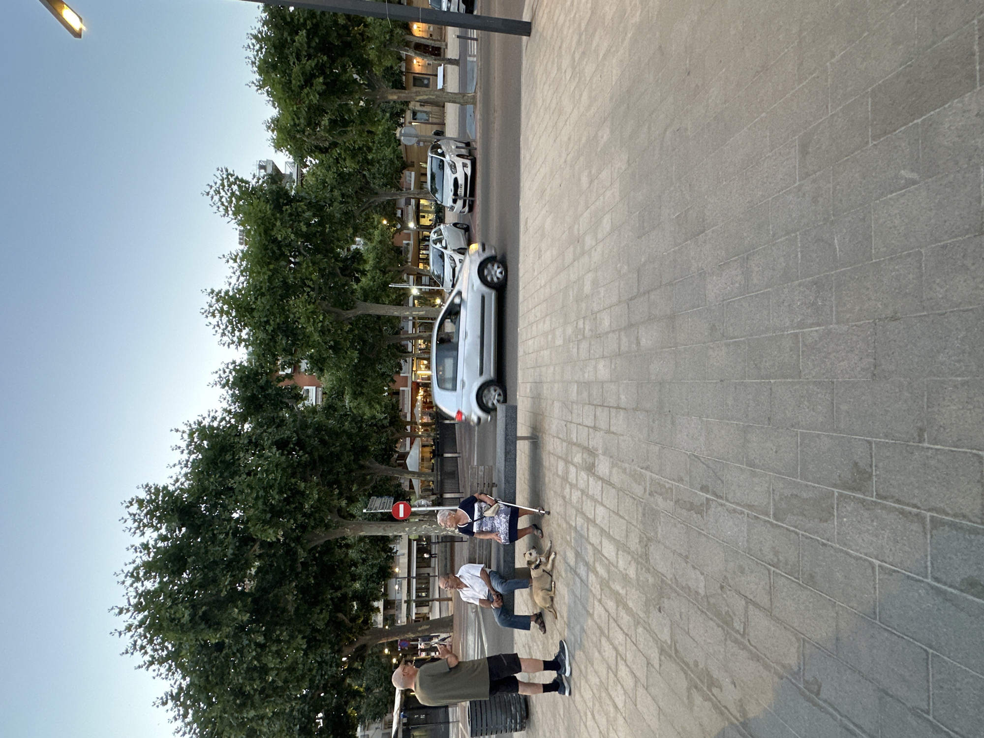 A street scene in Sant Feliu De Guíxols, Spain, depicts three people and a dog on a sidewalk adjacent to a street with several cars. In the foreground, a man wearing a green t-shirt and black shorts stands and converses with two people seated on a long, grey bench. A tan dog lies on the ground in front of the bench. To the left of the bench is a dark grey trash receptacle. Behind the bench and people, a paved street is visible with cars driving and parked. A silver car is in motion on the left side of the street, and two white cars are parked on the right side. Trees with dense green foliage line the street, and buildings are visible in the background. A street lamp with an orange light is present on the right edge of the frame. The ground is paved with rectangular grey tiles. The sky is a clear light blue.