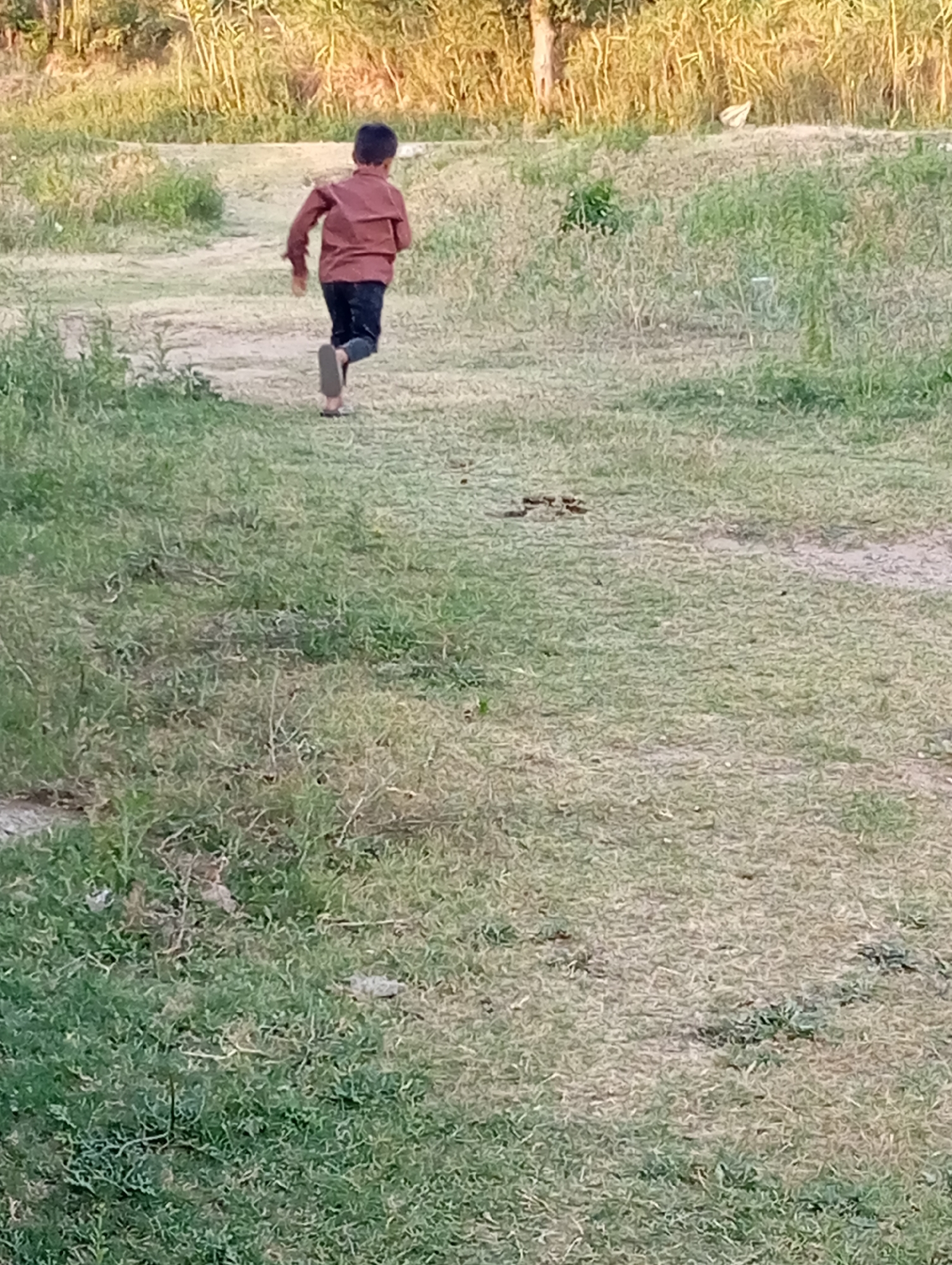 A young boy, viewed from the rear, runs across a grassy area. He is wearing a reddish-brown shirt and dark pants. The environment appears to be a rural or undeveloped area, with dry grass and some vegetation in the background. The lighting suggests it is daytime, possibly late afternoon, given the warm tones of the vegetation. There is no indication of any specific urban setting or Hakale, Pakistan. The ground is uneven and covered with grass and sparse dry patches.