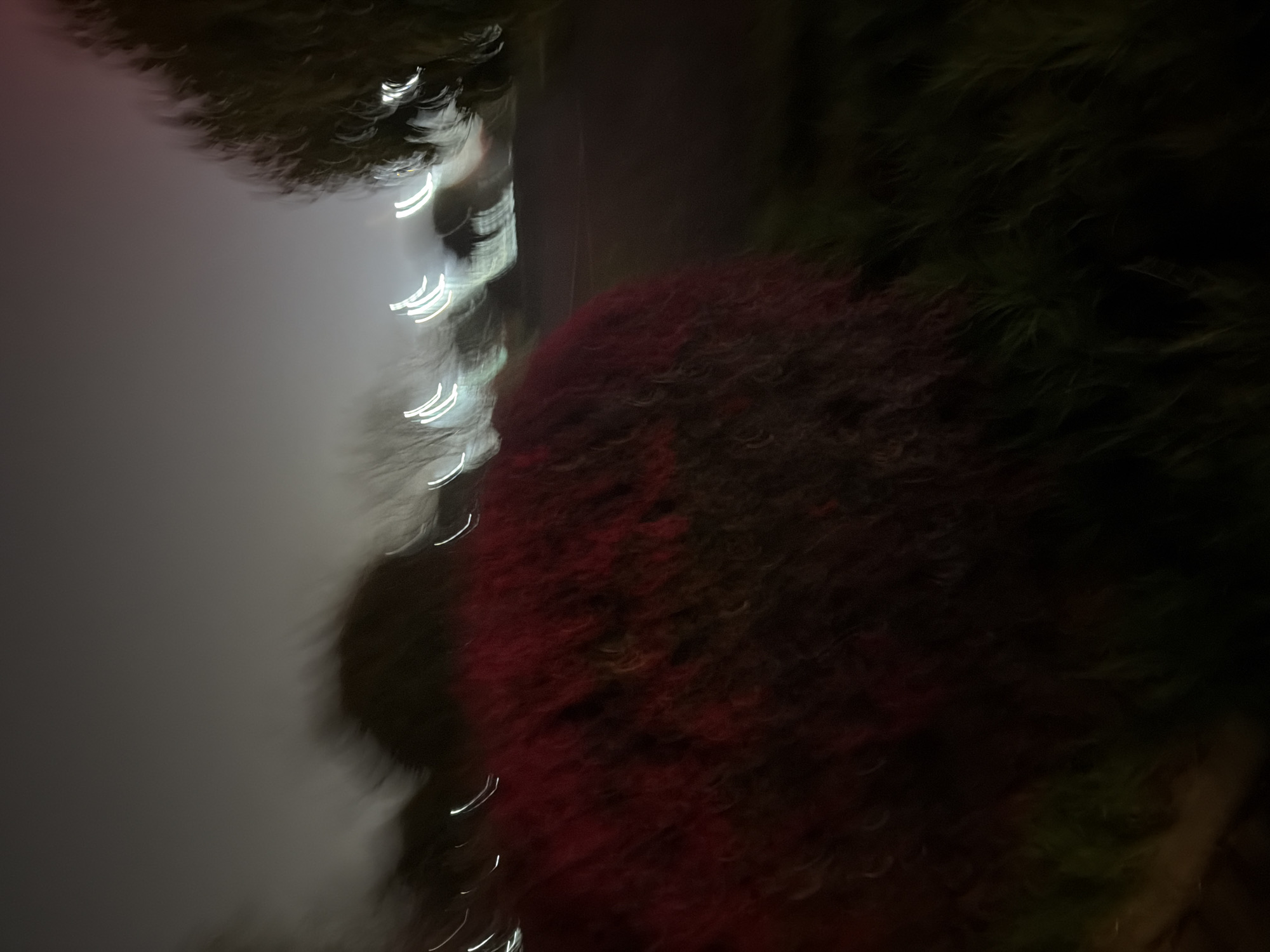 The image, taken with motion blur, appears to show a nighttime scene in Jiangning District, China. On the left side, there is a blurred image of a building or structure with vertical rows of lights. To the right of this is a blurred, dark shape with reddish hues, possibly a large bush or tree. The overall impression is of an urban landscape at night, captured with a deliberate blurring effect.