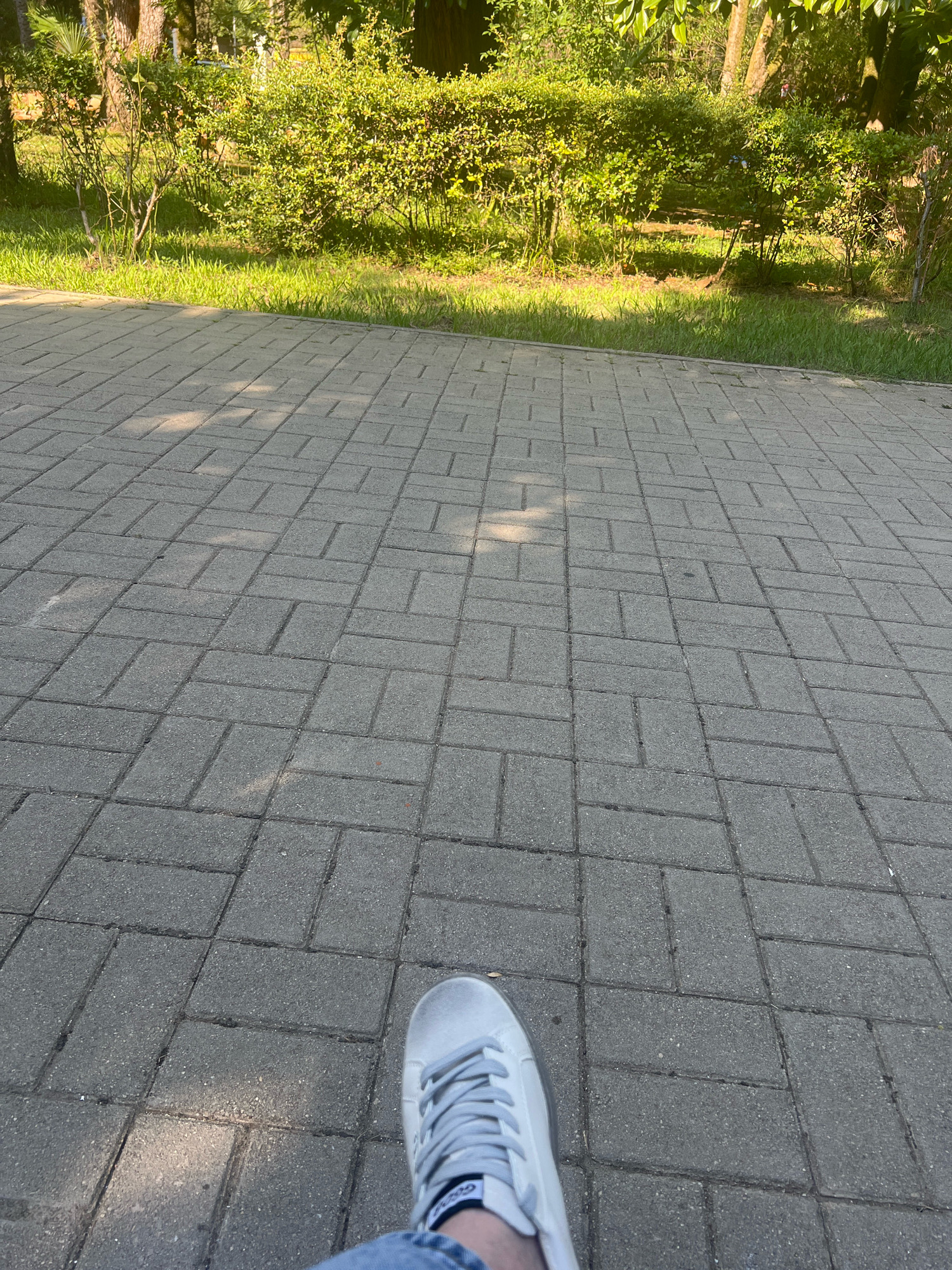 A first-person perspective shot shows a person's left foot wearing a light gray sneaker with white laces, and their blue jeans, resting on a gray brick pathway. The pathway is laid in a basketweave pattern and extends into the distance, dappled with sunlight and shadows. Behind the pathway, a neatly trimmed green hedge forms a backdrop, with patches of green grass visible in front of it. Trees with brown trunks and green foliage are interspersed within the hedge and behind it, suggesting a park or garden setting. The environment appears to be outdoors, under natural lighting, and the scene is set in the city of New Athos, Abkhazia.