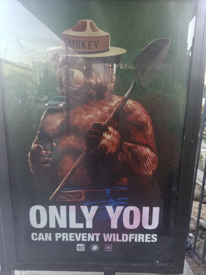 A vertical public advertisement display, framed in black, features a Smokey Bear wildfire prevention poster. The poster depicts an anthropomorphic brown bear, Smokey Bear, from the chest up, against a dark green background. He wears a tan ranger hat with "SMOKEY" printed on the band, a blue belt with "SMOKEY" on the buckle, and holds a fire shovel over his right shoulder. His left arm is extended, with the index finger pointing directly forward. Below the illustration, large white text reads "ONLY YOU," followed by "CAN PREVENT WILDFIRES" in smaller white text. Logos for the Ad Council and the U.S. Forest Service are positioned at the bottom. The poster is visible through a reflective glass or plastic panel, which reflects elements of an urban environment. These reflections include a multi-story building with light-colored walls, green foliage, and a light-colored vehicle (likely an SUV or sedan) with illuminated headlights driving on a street. The scene is outdoors, with a concrete or paved ground surface and a metal fence or railing visible to the right of the poster. The specific location within Los Angeles, United States of America, is not discernible from the provided image.