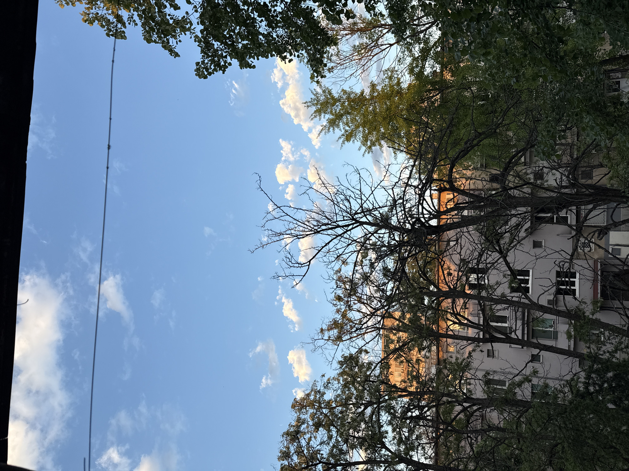 The image captures an upward view from a location likely in Plovdiv, Bulgaria. The sky is blue with scattered white clouds, framed by trees. Some trees are in full leaf, while others are bare-branched. A building with multiple windows is partially visible through the trees. A single power line crosses the sky.