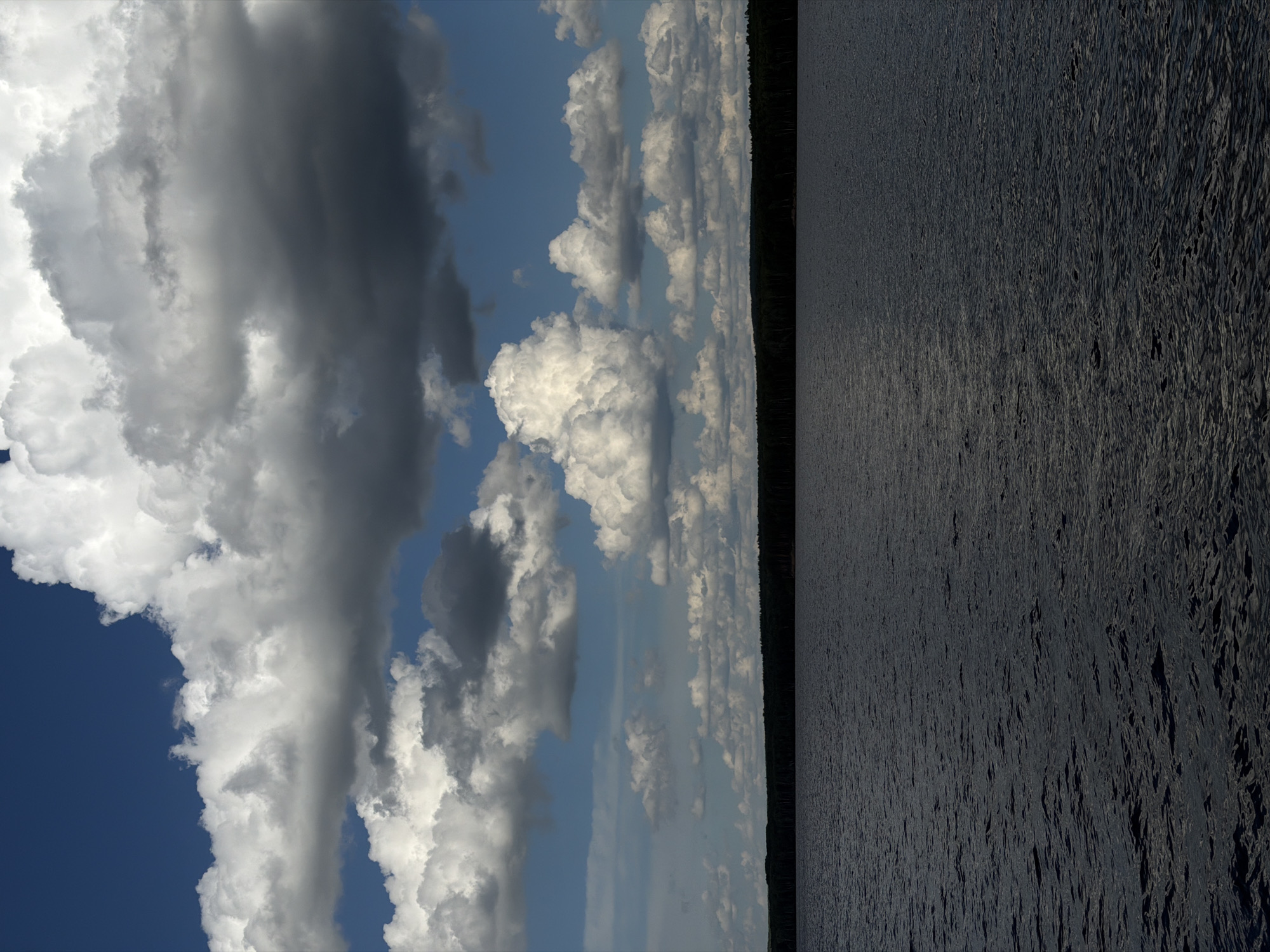 The image is a landscape photograph taken from a low angle, oriented vertically. The scene is divided into two distinct halves. The left half depicts a dramatic sky filled with large, fluffy white and dark gray cumulus clouds against a bright blue sky. The clouds are voluminous and textured, with light filtering through them in places.
The right half of the image shows a vast expanse of dark, choppy water. The surface of the water is textured with ripples and small waves, reflecting a dark, possibly overcast sky or the dark foliage of a distant tree line. A thin, dark green line of trees forms the horizon, separating the sky and the water. The light suggests it could be late afternoon or early evening, as the sun appears to be lower in the sky, casting a diffuse light. The overall mood is serene and somewhat dramatic due to the contrast between the bright clouds and the dark water. There is no text visible in the image. The setting appears to be a large body of water, possibly a lake or a wide river, bordered by a dense forest. The weather seems to be changing, with clear blue sky interspersed with storm clouds, and the water showing signs of wind.