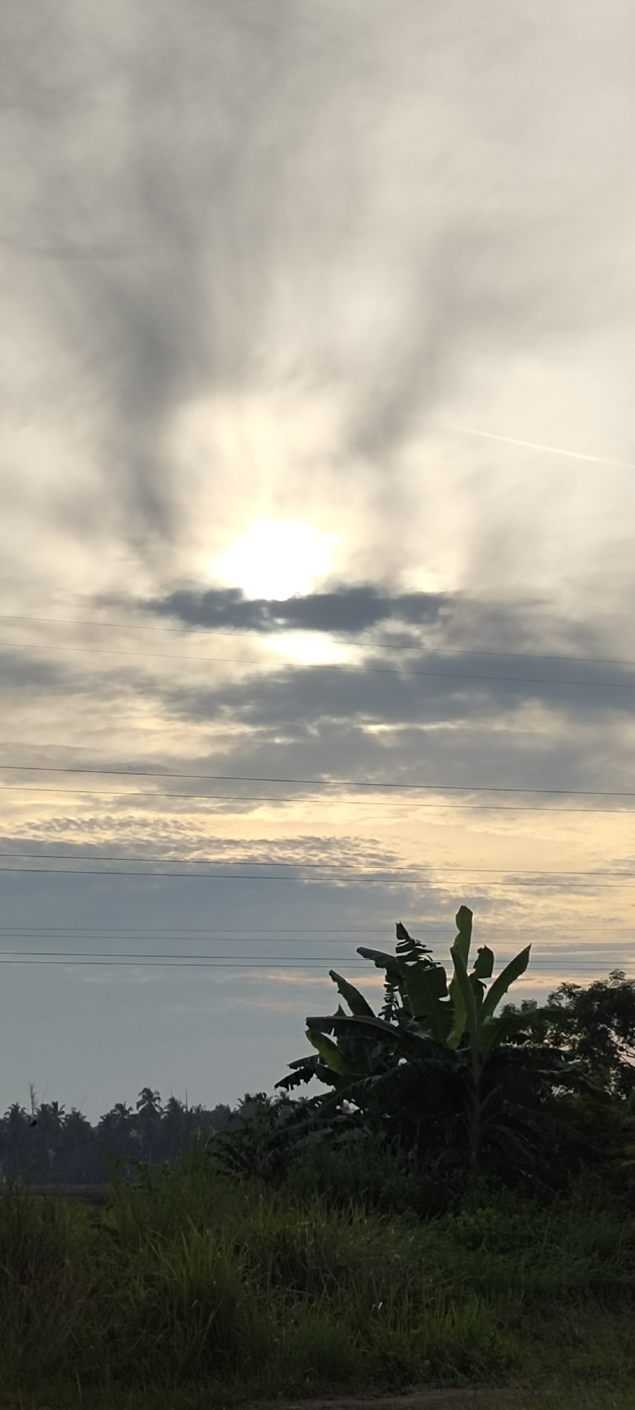 The image captures a serene rural landscape at dawn or dusk. The sky is dominated by heavy, grey clouds with the sun peeking through, creating a diffused, bright light. A thin, white contrail from an airplane streaks across the upper right portion of the sky. Three horizontal power lines stretch across the frame, dividing the sky into sections. In the foreground, lush green vegetation, including a banana tree and tall grasses, blankets the ground. In the distance, a line of palm trees suggests a tropical environment, likely within the vicinity of Lhokseumawe, Indonesia. The overall impression is one of natural tranquility, with the human element represented only by the power lines. There are no people or animals visible in the image.