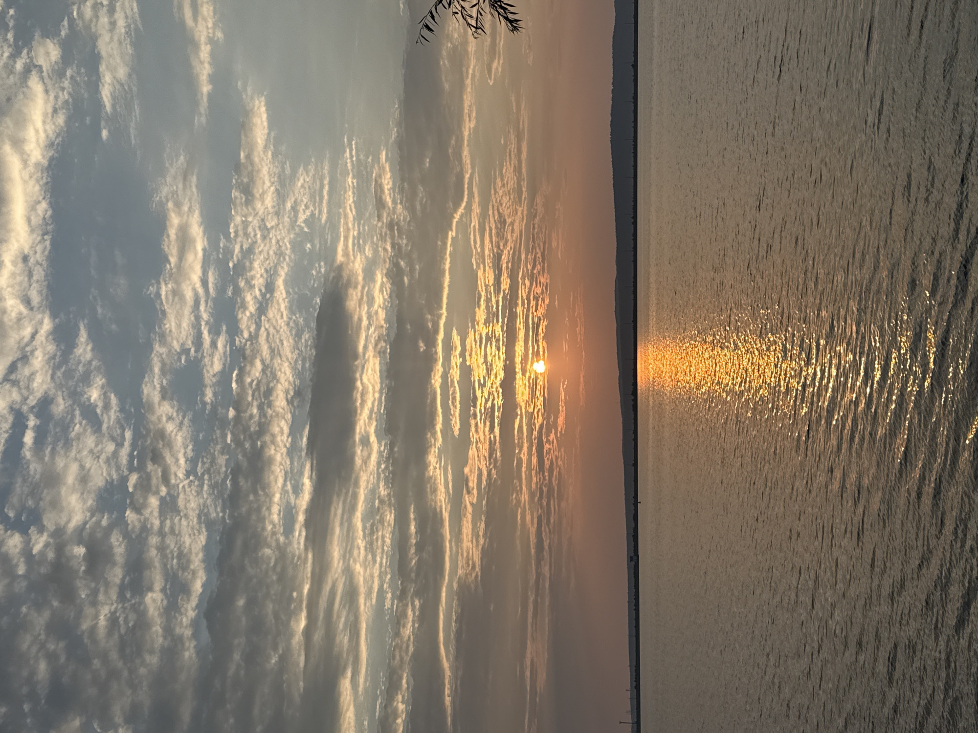 This media file depicts a serene natural scene, likely captured at sunset or sunrise, given the warm, golden hues illuminating the sky and reflecting on the water. The image is oriented vertically, with the sky occupying the left half and the water the right.
The sky is filled with a mix of wispy, elongated clouds, some appearing brighter and tinged with yellow and orange as they catch the light, while others are darker gray and softer. A faint silhouette of a tree branch hangs from the top edge of the frame, suggesting the viewpoint is from near land.
The right half of the image is dominated by a large body of water, possibly a lake or river. The surface is textured with small ripples, and a brilliant, shimmering path of sunlight stretches across it, originating from the sun, which is partially visible just above the horizon line. The water transitions from a bright, reflective gold where the sun's rays hit it, to a more muted, gray-brown color further away from the light source. The horizon line is a straight, dark band, likely representing distant land or the far bank of the waterway.
The overall impression is one of tranquility and natural beauty. The soft lighting and calm water evoke a sense of peace. The time of day is clearly around dawn or dusk, and the weather appears clear with scattered clouds. While no specific objects or people are discernible as main subjects, the scene itself is the focus. No text is visible in the image. The context provided suggests this scene is located in Chaikovsky, Russia.