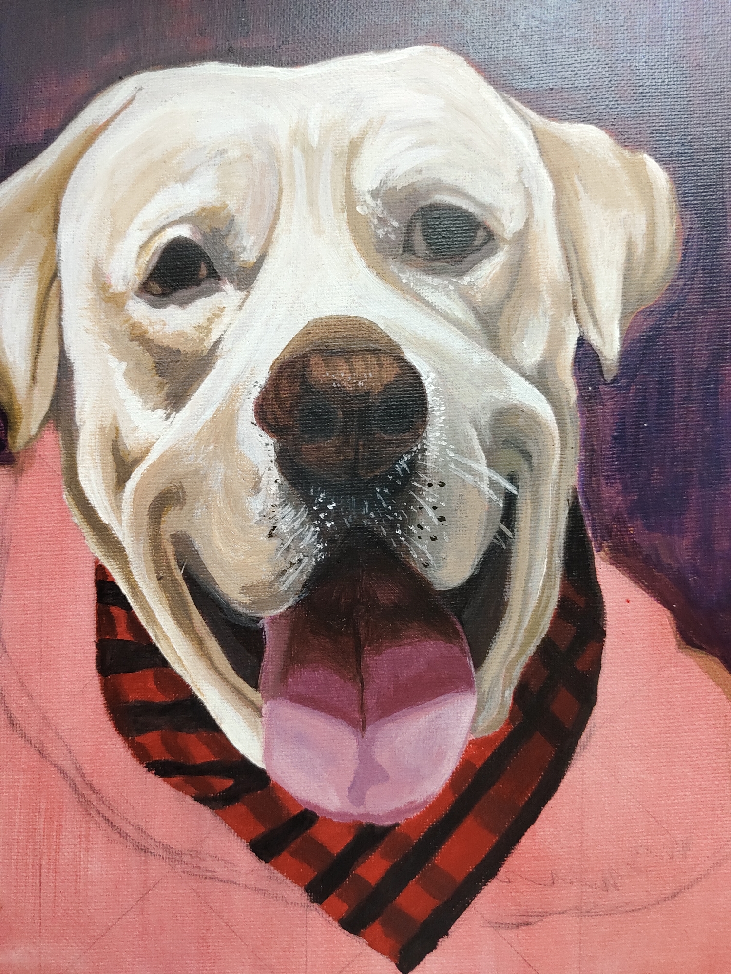The image is an oil or acrylic painting depicting a cream-colored Labrador Retriever. The dog faces forward, occupying the majority of the frame, with its mouth open, tongue extended and slightly curved, indicating a happy or panting state. Its fur is primarily off-white with subtle tan and brown shading defining facial contours and texture. The eyes are dark and appear slightly narrowed with highlights, conveying contentment. The nose is large, dark brown, and appears moist. White brushstrokes simulate whiskers around the muzzle, accompanied by small black dots indicating whisker follicles. A red and black buffalo plaid bandana is tied around its neck. Below the bandana, a solid pink garment, likely a shirt or sweater, is visible, with faint black pencil lines outlining future details on the fabric. The background is abstract and dark, featuring blended shades of deep purple, blue, and brown, contrasting with the light fur of the dog. The canvas texture is visible throughout the painting. The image contains no identifiable geographic markers, buildings, or environmental elements that would place it within Davao City, Philippines, or any specific external location. It is a studio-style pet portrait.