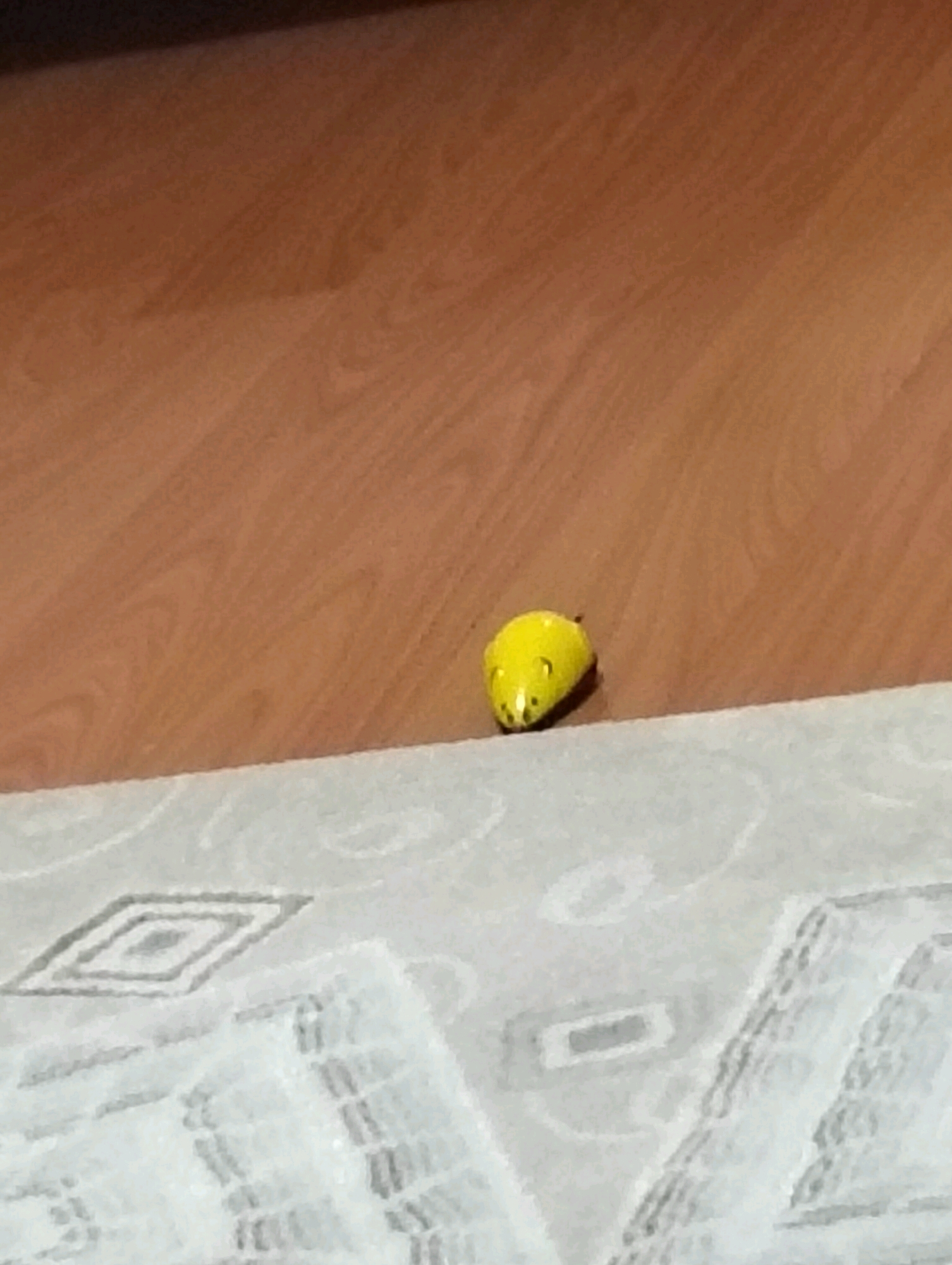 A small, bright yellow wind-up toy mouse is positioned on a light-colored, patterned rug. The toy has black dots representing eyes and a dot for a nose. The rug is situated on a wooden floor. The background is a blurred expanse of the wooden floor, indicating an indoor setting, likely a home in Balçova, Turkey. There are no people or animals present in the image, and no discernible actions are taking place. The lighting suggests it is daytime.