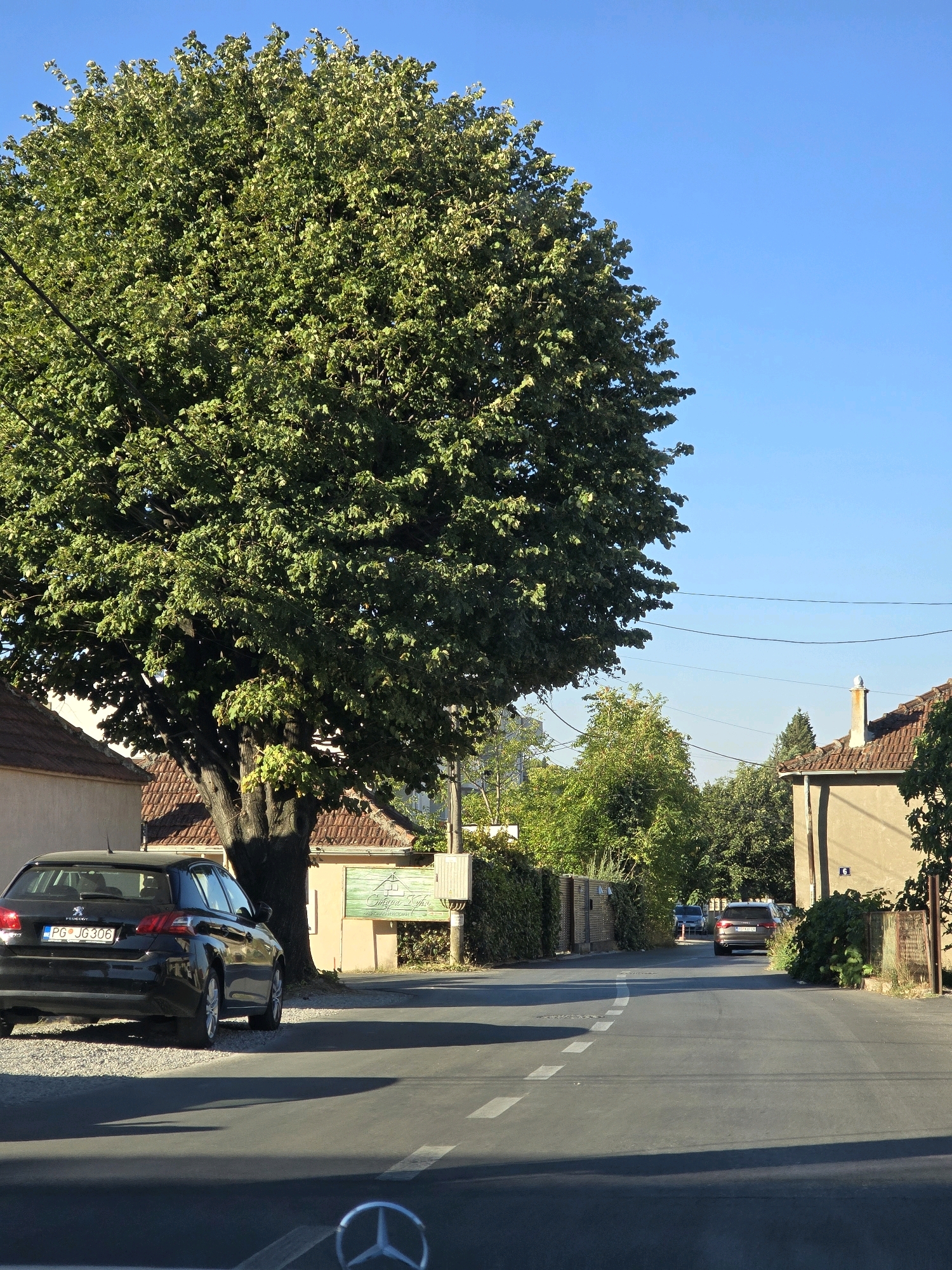 In Podgorica, Montenegro, on a clear day, a black Peugeot 308 is parked next to a large, leafy tree on a gravel shoulder. The car, with license plate PG JG306, faces away from the viewer. A paved road runs alongside the car, leading into the distance where two other cars are visible. Houses with red tile roofs and beige walls are situated on either side of the road. A tall, slender tree with green leaves stands to the right of the road, partially obscuring a beige building with a number 6 sign. The scene is dominated by the large tree in the foreground and the clear blue sky.