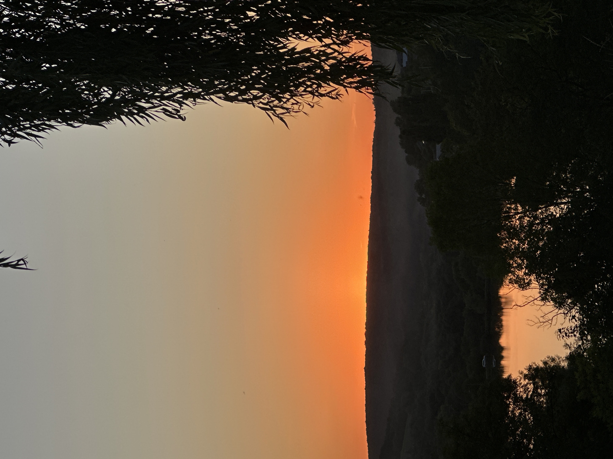 The image depicts a serene sunset over a hilly landscape near Makiv, Ukraine. The sky transitions from a pale yellow near the horizon to a soft grey at the top, with a vibrant orange band illuminating the setting sun just above the silhouette of the hills. In the foreground, dark silhouettes of trees and foliage frame the scene, with a large willow tree branch hanging from the upper right corner. Below the hills, a body of water reflects the orange hues of the sky. A car is visible parked on the bank of the water. The overall impression is one of natural beauty and tranquility at dusk.