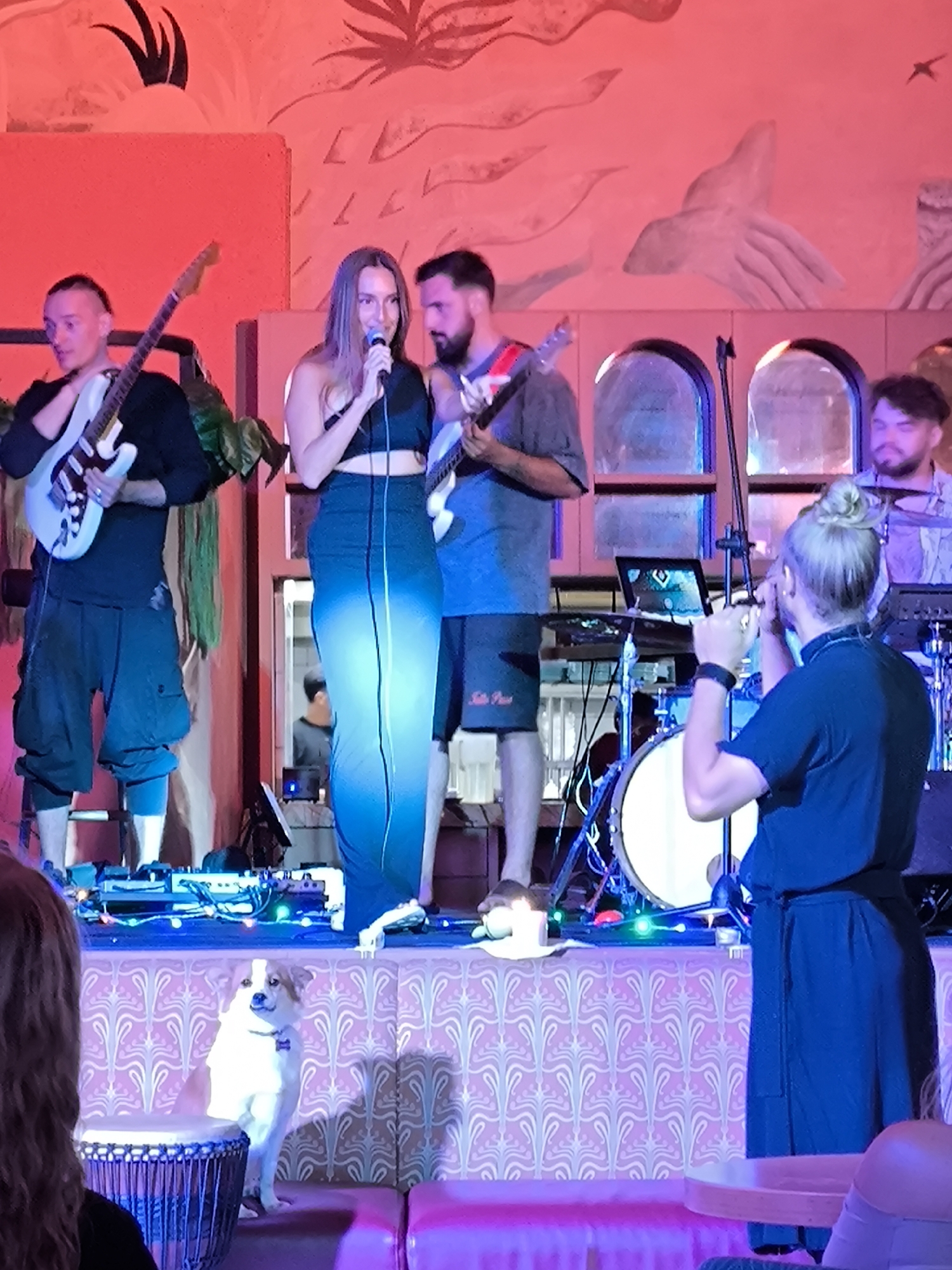 The image shows a live music performance taking place at a venue in North Kuta, Indonesia. On a raised stage, a female vocalist in a black crop top and a long blue skirt is singing into a microphone. To her left is a male guitarist with a shaved head, wearing a black shirt and dark cargo shorts, playing a white electric guitar. Another male guitarist is to her right, sporting a beard and wearing a gray t-shirt and shorts. A drummer and a keyboardist are visible in the background. A woman with her hair in a bun stands to the right of the stage, possibly filming the performance with her phone. At the front of the stage, a dog stands on a cushioned platform. The stage is decorated with a light pink and white patterned backdrop. The lighting in the venue is predominantly red and blue. In the foreground, a person is sitting at a table, possibly a viewer.
