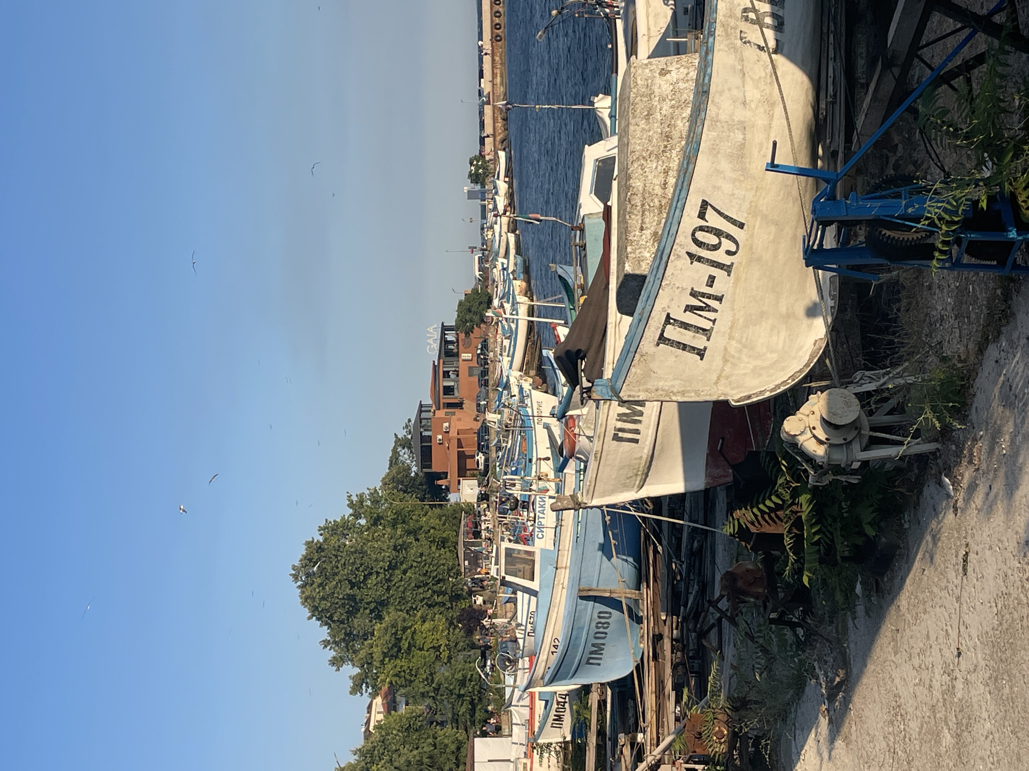 This image depicts a harbor scene in Pomorie, Bulgaria, likely during the late afternoon or early evening, given the warm, low-angled sunlight casting shadows. The foreground features a gravelly, unpaved area with a few small birds and green foliage. Several fishing boats are visible, some pulled onto dry land on wooden cradles, others moored in the water.
In the foreground, a large, partially visible white boat with the numbers "ПМ-197" painted in black on its side is prominently displayed. Next to it, a blue and white boat with "ПМ 080" also in black is resting on a wooden structure. Further back, other boats, some white and blue, are lined up. One boat has "СИРТАКИ" written on its side, and another shows "ПОМОРИЕ".
In the middle ground, the sea is a deep blue. A breakwater or pier extends into the sea, with lights visible along its length. Behind the harbor, a cluster of buildings can be seen, including a multi-story structure with a red-tiled roof that appears to be a restaurant or cafe, with the word "GAIA" visible on its facade. Behind the buildings, a dense line of green trees forms a backdrop. The sky is clear and blue, with several birds, possibly seagulls, flying overhead. A few individuals are scattered around the scene, some near the buildings and others by the boats, suggesting a working harbor or a popular recreational spot. The overall impression is one of a bustling, yet peaceful, coastal town.