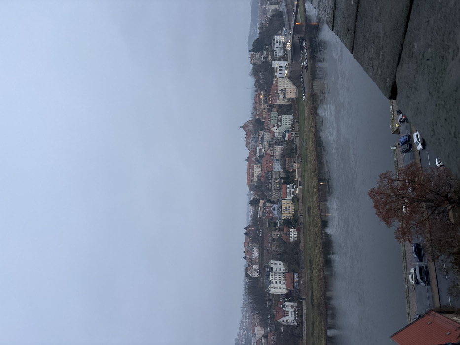 The image presents a panoramic view of the town of Meissen, Germany, situated along a river, under an overcast sky. The viewpoint is from an elevated position, likely a bridge or a high structure, looking down and across the river.
A significant portion of the image, particularly the upper left, is filled with a uniform, light grey sky, indicating dull or overcast weather conditions. A wide river flows through the scene, from left to right, reflecting the muted light.
Along the far bank of the river, the town's buildings are densely packed, extending along the waterway and upwards onto a gentle slope. The architecture is distinctly European, with numerous multi-story buildings displaying a variety of colors and prominent pitched roofs, many of which are reddish-brown. On the closer bank, a road or embankment runs parallel to the river, with several cars parked along its side. A large, bare tree with reddish-brown leaves stands out in the lower right foreground. In the upper right corner, part of a bridge or elevated road structure crosses the river, with faint vehicle lights visible.
The immediate foreground on the right includes a rugged stone wall or parapet, suggesting the viewing platform, and partially visible below it, a red-tiled roof. The scene depicts a tranquil, everyday view of a town. The bare trees and grey sky suggest a cooler season, possibly late autumn or winter. There are no specific human activities or individuals prominently featured, and no visible text is present.