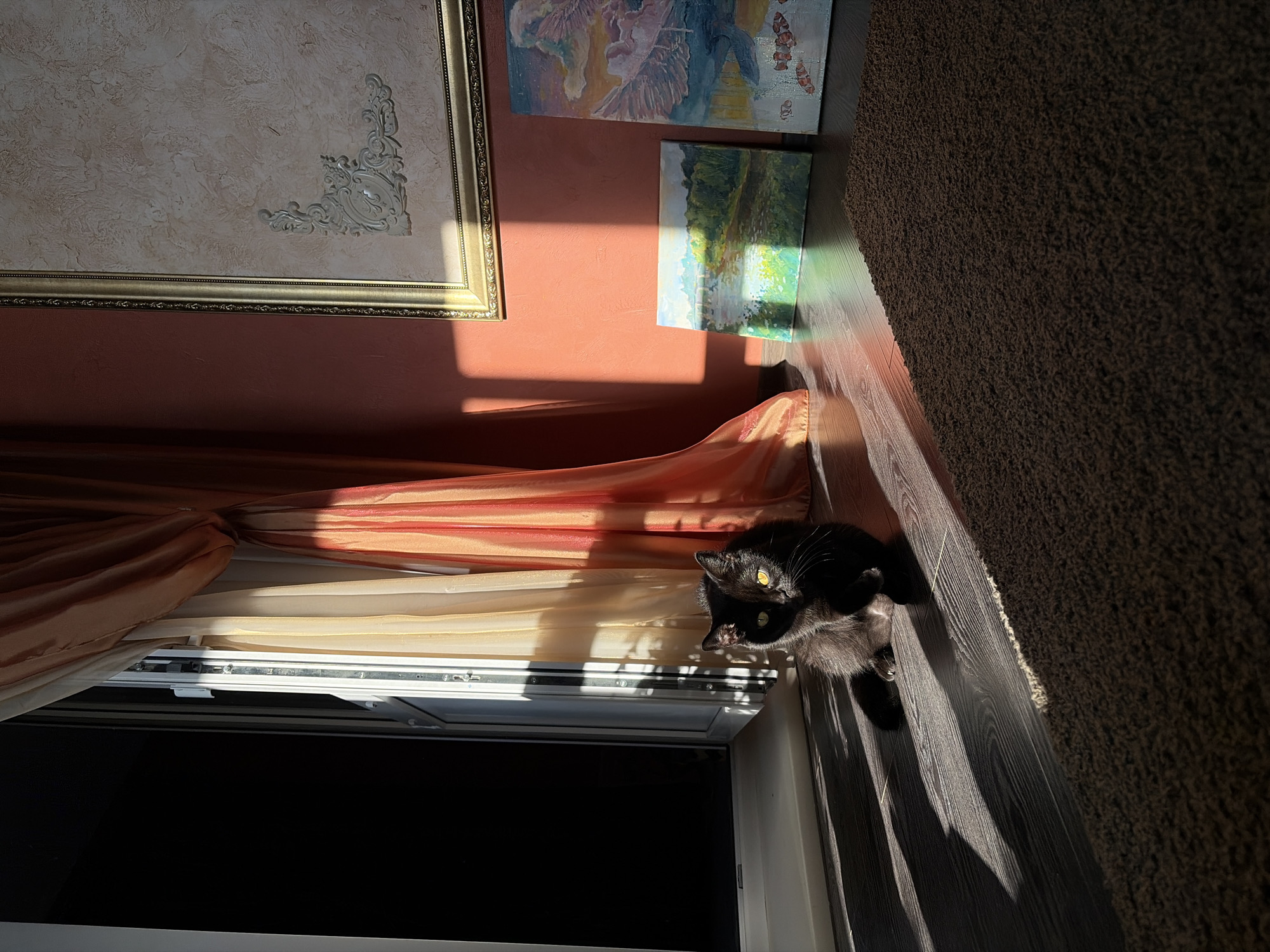 A black cat with yellow eyes sits on a wooden floor next to an open window. Sunlight streams through the window, casting long shadows across the floor. Two paintings are leaning against a salmon-colored wall. One painting depicts a landscape with a river and trees, while the other features birds and fish. A thick brown rug is visible in the foreground. The scene appears to be indoors, possibly in an apartment or house. There is no discernible information in the image to indicate the location in Leninsk-Kuznetskiy, Russia.
