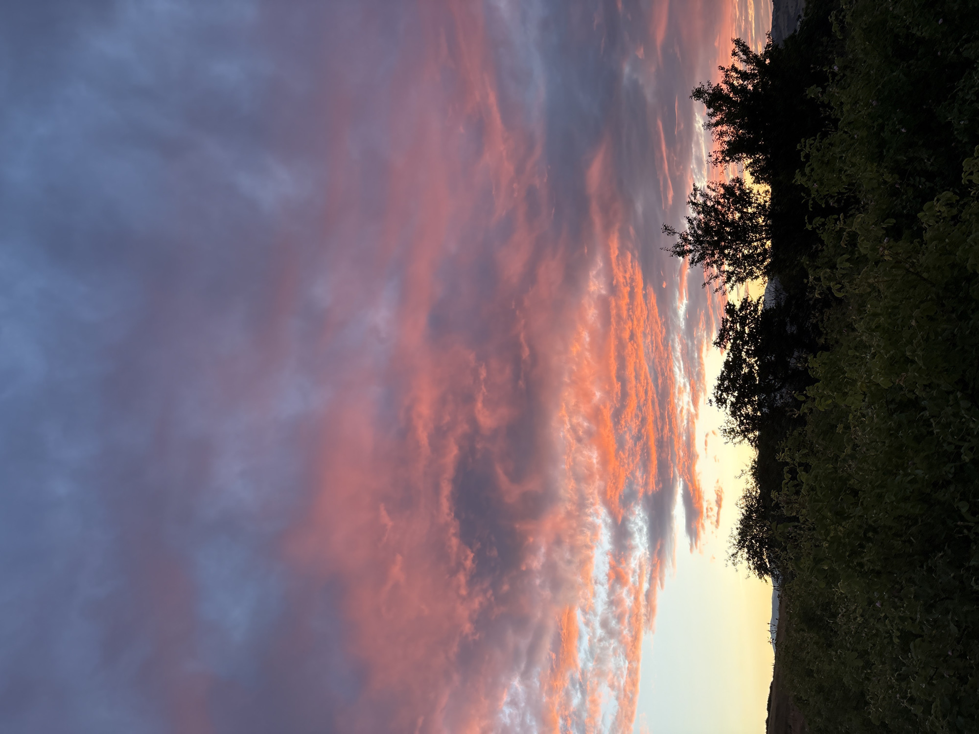 The image displays a serene outdoor landscape, capturing either a vivid sunrise or sunset over what appears to be a rural or semi-rural area in Strelcha, Bulgaria. The dominant feature is the expansive sky, filled with stratified clouds painted in striking hues. Vibrant oranges and pinks are prominent, particularly in the mid-ground clouds, suggesting they are intensely lit by the low-lying sun. These warm colors transition into softer purples, grays, and blues further away from the light source, creating a dynamic and colorful gradient across the sky.
Along the bottom and extending slightly up the right side of the frame, dark silhouettes of trees and dense bushes form the foreground. The vegetation is mostly in shadow, appearing as an undifferentiated dark mass, though subtle hints of deep green are visible in areas where some ambient light might be catching the leaves. A pale strip of yellowish-orange light, indicative of the horizon, is visible below the silhouetted trees and above a faint outline of distant, gently rolling hills or land.
There are no people, explicit activities, or discernible man-made objects within the frame, nor is there any visible text. The image evokes a sense of natural beauty and tranquility, characteristic of the transition periods of dusk or dawn, with the colorful clouds being the primary focus.