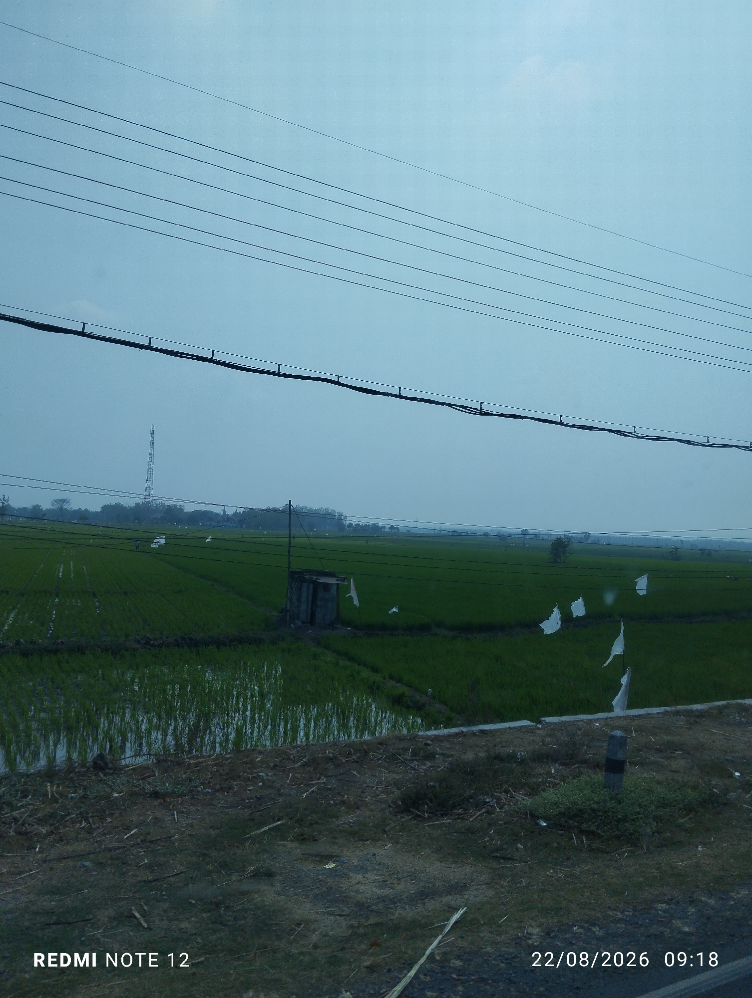 In Gemarang, Indonesia, on August 22, 2026, at 09:18 AM, a wide shot captures a rural landscape. The sky is overcast and pale blue, with multiple parallel power lines stretching horizontally across the upper half of the frame. In the mid-ground, a vast, flooded rice paddy dominates the scene, with rows of bright green rice stalks emerging from the water. A small, weathered wooden structure, possibly a shed or shelter, stands in the middle of the paddy, and several small white flags are dotted across the fields. A tall communication tower is visible in the distance, beyond a line of trees. The foreground consists of a rough, unpaved area with dirt, scattered debris, and low vegetation. A small, dark, concrete marker stands upright on the right side of the foreground. The timestamp "22/08/2026 09:18" and the text "REDMI NOTE 12" are visible in the bottom right and bottom left corners, respectively. No people are clearly discernible in the image.