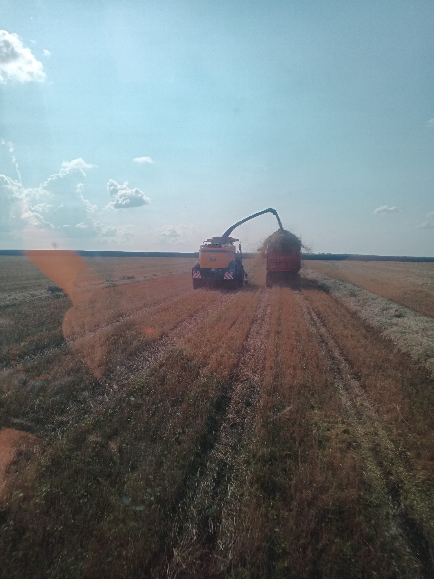This image depicts an agricultural scene, likely in or near the city of Solgon, Russia. A large yellow and orange combine harvester is actively engaged in harvesting a field of dry, golden crops. The combine is in the process of transferring harvested material into a red trailer that is following closely behind it. The trailer appears to be nearly full, overflowing with the chopped crop.

The environment consists of a vast, flat field with rows indicating recent harvesting activity. The crops themselves appear to be wheat or a similar grain, given their dry, golden hue and the presence of straw-like residue. In the background, a dark line suggests a tree line or forest marking the edge of the agricultural land. The sky is bright blue with scattered white, fluffy clouds, indicating a sunny day. There is a distinct orange lens flare in the lower left quadrant of the image, which appears to be a photographic artifact. No people are visible in the frame. The overall scene conveys a sense of agricultural work in progress during harvest season.