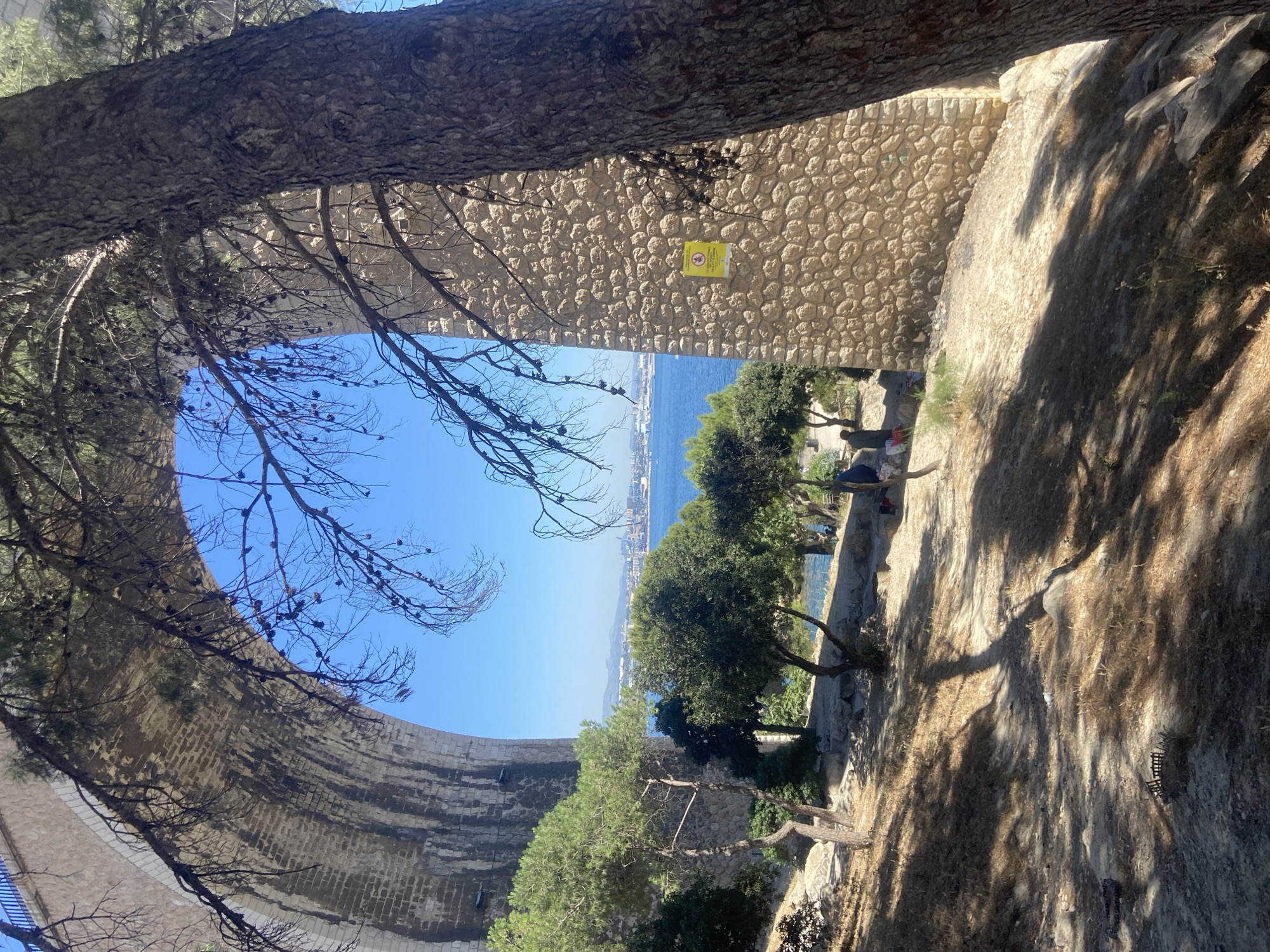 The image shows an arched stone bridge under a clear blue sky. In the foreground, a large tree trunk with textured bark is partially visible on the right. Branches from this tree and others cast shadows across a dry, sandy ground leading down a slope. To the left, the underside of the bridge arches over the scene. Beyond the bridge, there is a body of blue water, likely the sea, with a city skyline in the distance. Several green trees are scattered on the bank overlooking the water. A yellow sign with red symbols is affixed to a stone pillar beneath the bridge. There are at least two individuals visible in the middle ground, sitting or standing near the water. The overall impression is of a sunny day in a coastal area with notable architectural elements.