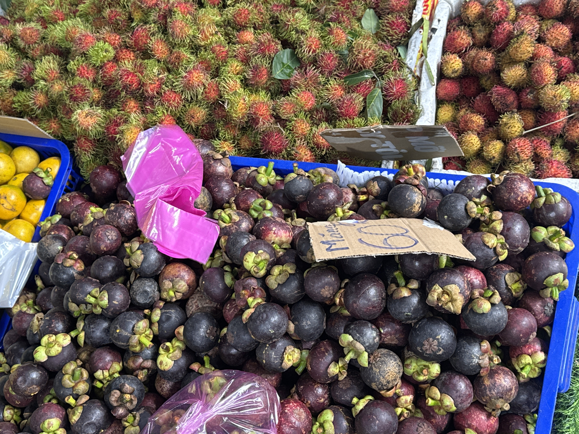 The image shows a market stall in Lam Vien - Da Lat, Vietnam, featuring an abundant display of tropical fruits. In the foreground, a blue plastic crate is filled with dark purple mangosteens, each with a characteristic green calyx. A piece of cardboard with handwritten text, "Mana 60", is placed among the mangosteens, indicating a price. To the right of the mangosteens, another crate overflows with rambutan fruits, which are round and covered in soft, reddish-pink and green spines. Behind the mangosteens, a blue crate holds several yellow fruits, possibly oranges or tangerines. A bright pink plastic bag is visible in the upper middle section of the image, placed on top of some mangosteens. The overall impression is one of a vibrant, bountiful fruit market.
