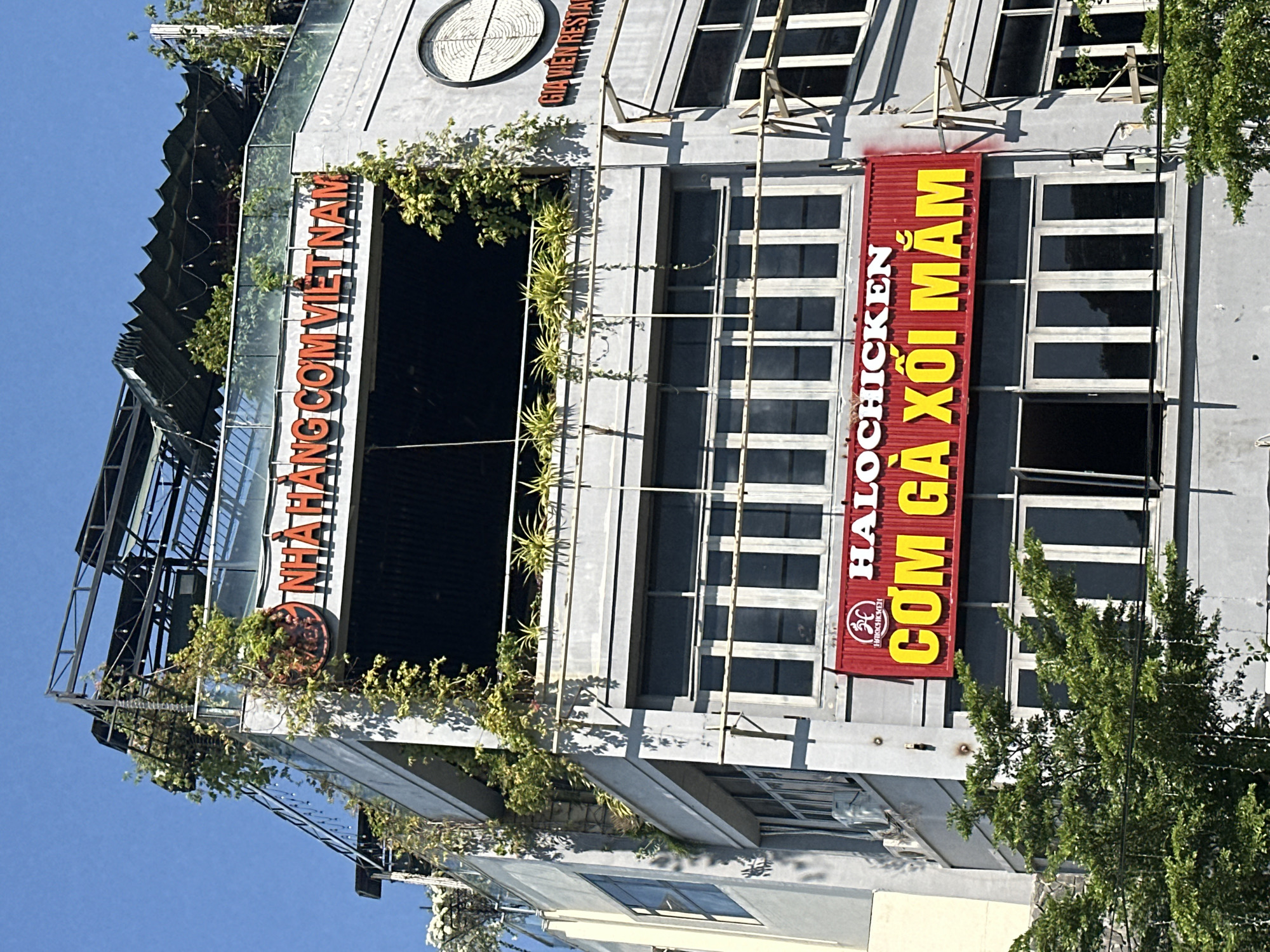 The image shows a multi-story building in Bac Nha Trang Ward, Vietnam. The building has a gray facade with a mix of glass and solid panels. Lush greenery and climbing plants adorn parts of the exterior. Prominently displayed on the building is a sign in orange letters that reads "NHA HANG COM VIETNAM". A second sign is vertical and red, with yellow text reading "HALOCHICKEN COM GA XOI MAM". A portion of the bright blue sky is visible in the background. Part of a tree with green foliage is visible on the right side of the image.
