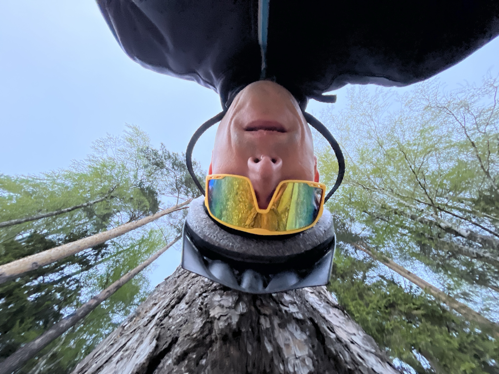 An upside-down, low-angle close-up shot shows a person wearing a helmet and yellow sunglasses, with a tree trunk directly below the helmet. The individual is wearing a dark jacket with a blue and white stripe. Tree branches with light green leaves extend outwards and upwards from the edges of the tree trunk, leading to a pale sky. The photograph appears to be taken outdoors, possibly in a forest or park setting. Specific location in the city of Chaikovsky, Russia, is indeterminable.