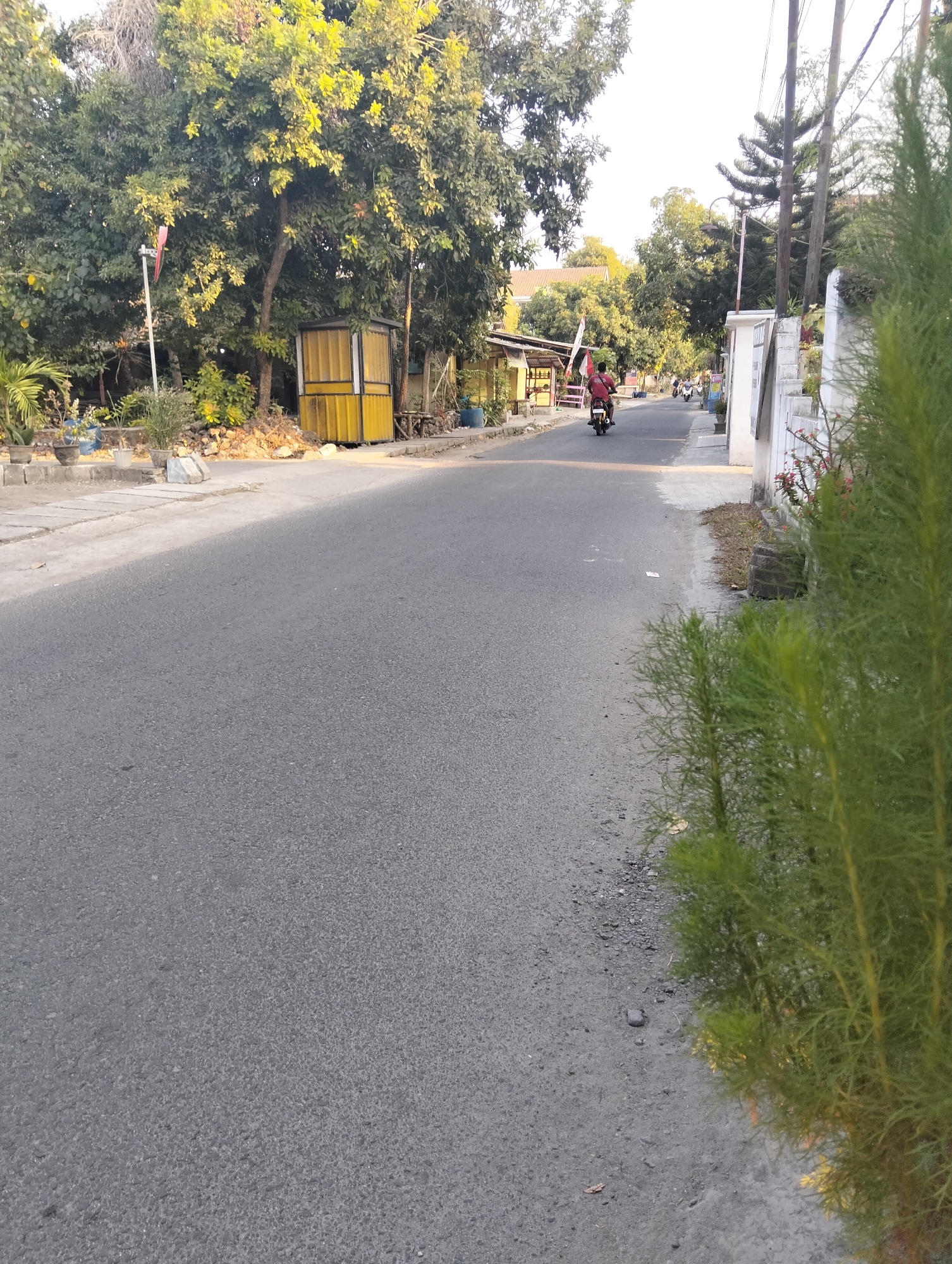 The image depicts a street scene in Drajat, Indonesia, likely during the daytime, with the sun casting warm light and shadows. The road is paved and relatively clear, with a slight incline. On the left side of the road, there is a sidewalk with several potted plants. Behind the sidewalk, there are trees, a yellow structure that appears to be a small kiosk or booth, and some fencing. Further down the road, there are more buildings and trees, and the sky is bright and overcast.
On the right side of the road, a white wall with decorative elements is visible. In front of the wall, there are more potted plants, including some with red flowers. A tall, thin evergreen tree is prominently featured in the foreground on the right, its feathery foliage blurring the edges of the image.
There are a few people present in the scene, all riding motorcycles. One individual wearing a red shirt is on a motorcycle in the middle of the road, traveling away from the viewer. Further down the road, at least two other motorcycles with riders are visible, also moving away. The presence of motorcycles suggests this is a common mode of transportation in the area.
The environment appears to be a residential or mixed-use area, with a mix of vegetation, buildings, and the road infrastructure. The overall impression is that of a peaceful, everyday scene in an Indonesian town.