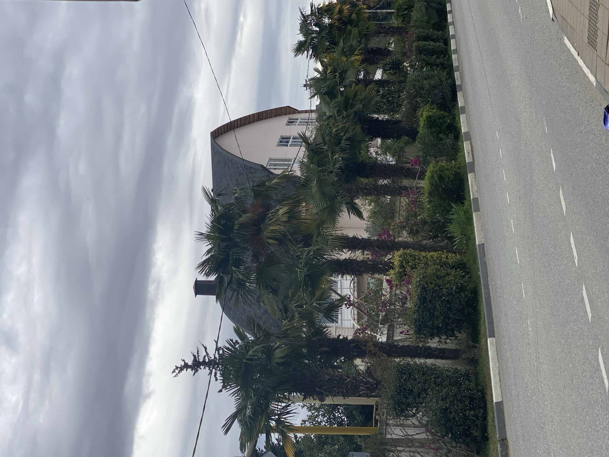 The image depicts a street scene in Sochi, Russia. A multi-story building with a curved roof and a chimney is visible behind a row of palm trees and shrubbery. The building is light-colored with white-framed windows. To the right of the foliage is a paved road with white lane markings and a curb painted with alternating black and white sections. The sky is overcast with a dense layer of grey clouds. There are no people visible in the frame. Overhead power lines are visible in the upper left of the image.