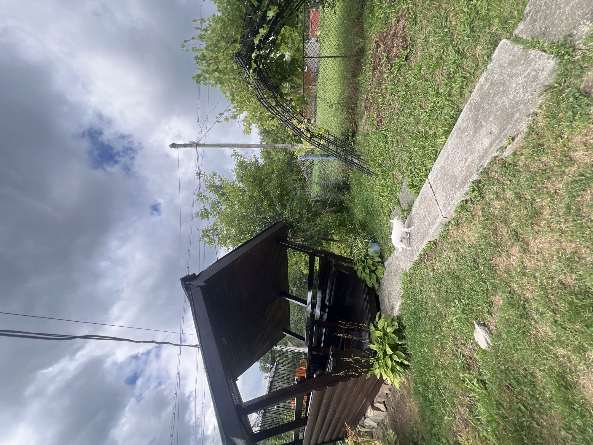 The image depicts a rural outdoor scene, likely a backyard or garden, under a cloudy sky. In the foreground, a concrete path leads from the left side of the frame towards the right. To the left of the path stands a wooden gazebo with a dark brown, angled roof and open sides, revealing benches inside. Green foliage is present around the base of the gazebo and along the path. A small, white dog is walking on the concrete path in the middle-right of the frame. Beyond the gazebo and path, a wire fence encloses a grassy area with scattered vegetation and trees. A metal archway, possibly for climbing plants, is visible to the right of the fence. A wooden utility pole with wires is also present in the background. There is no specific information or visual cue in the image that would allow for its location to be identified as Yaremche, Ukraine.