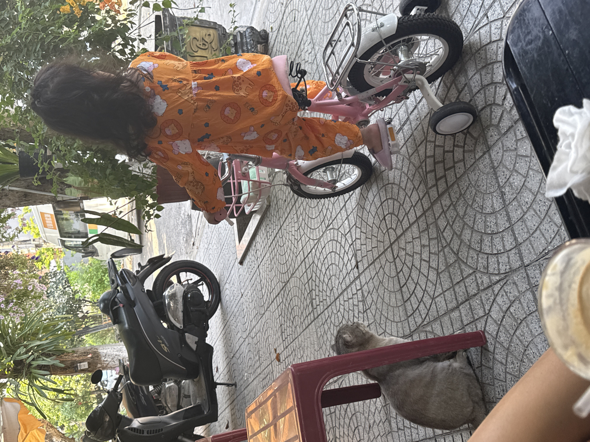 A young girl in orange pajamas with animal prints is riding a pink and white bicycle with training wheels on a paved area. A grey cat is lying under a red plastic chair near a black motorbike parked on the side. The scene appears to be on a sidewalk in an urban area, potentially in Đà Nẵng, Vietnam. Trees, foliage, and buildings are visible in the background. A person's leg and a cup are visible in the foreground.