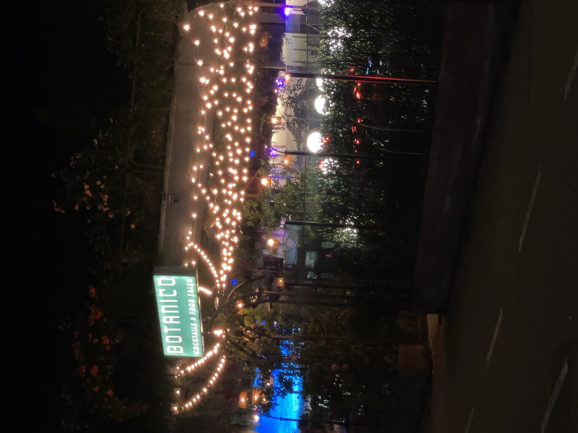 The image captures an illuminated outdoor scene at night, likely the entrance or patio of a restaurant or bar. The dominant feature is a vibrant, rectangular sign glowing green with the text "BOTANICO" in large letters, and "COCKTAILS & FOOD TALES" written beneath it.
Numerous warm-toned string lights, resembling fairy lights or bistro lights, are draped across the frame, creating an inviting and festive atmosphere. These lights arch over a pathway or seating area, with some extending further into the background. Lush green foliage, appearing to be bushes or trees, frames the scene on both sides and in the background, reinforcing the "Botanico" theme.
In the mid-ground, larger spherical white lights are visible among the greenery, providing additional illumination. Further back and to the lower right (when viewing upright), a distinctive blue light source, possibly from a decorative pool or specialized lighting, adds a cool contrast to the warm string lights. The ground appears to be a dark paved surface. No people are visible, and no specific activity is taking place, but the setting suggests a lively evening ambiance for dining or socializing. The time of day is clearly night, indicated by the dark surroundings and the necessity of artificial lighting.