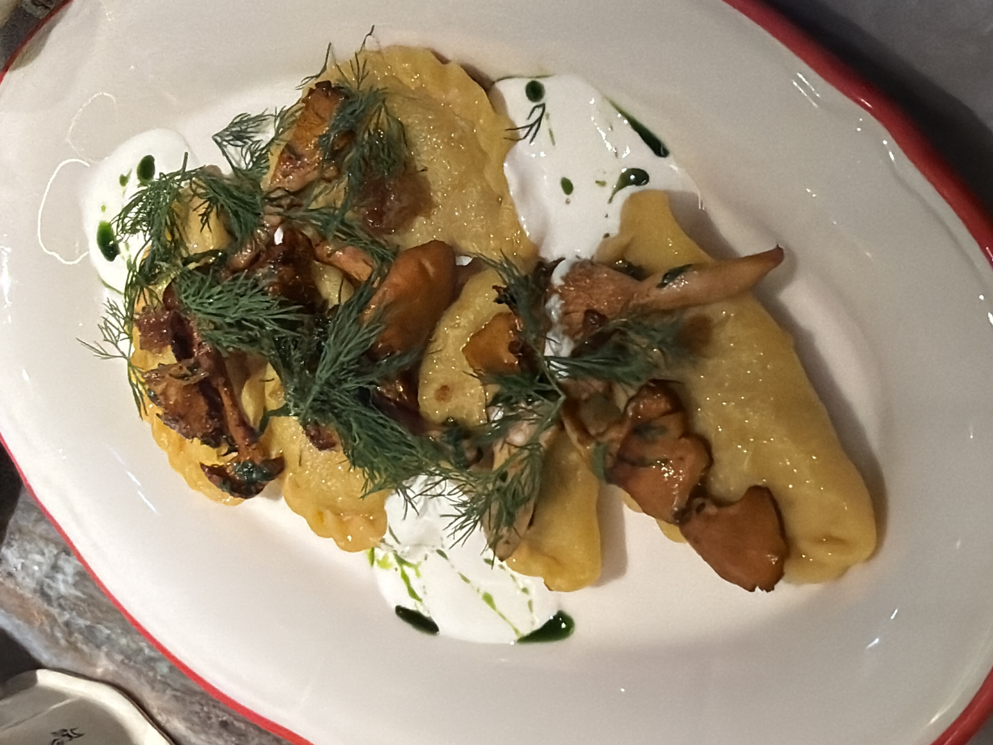 A close-up shot shows a white oval plate with a red rim filled with golden-brown pierogi, topped with sautéed mushrooms and fresh dill. Dollops of white sour cream are artfully placed around the pierogi, garnished with small drizzles of green oil. The pierogi are arranged in a staggered fashion, with the topping generously spread across them. The lighting highlights the glistening surfaces of the food, creating a rich, appetizing visual. The background is blurred, suggesting a restaurant setting, with a hint of a marble countertop.
